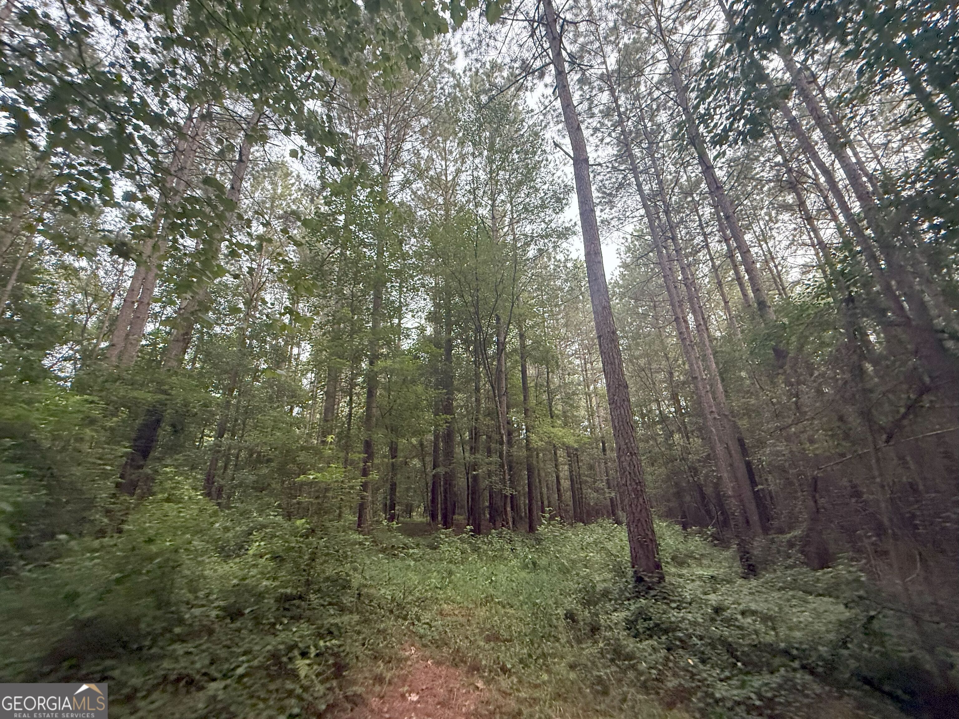 11 Owens Road Maysville, GA 30558 - Photo 19 of 147