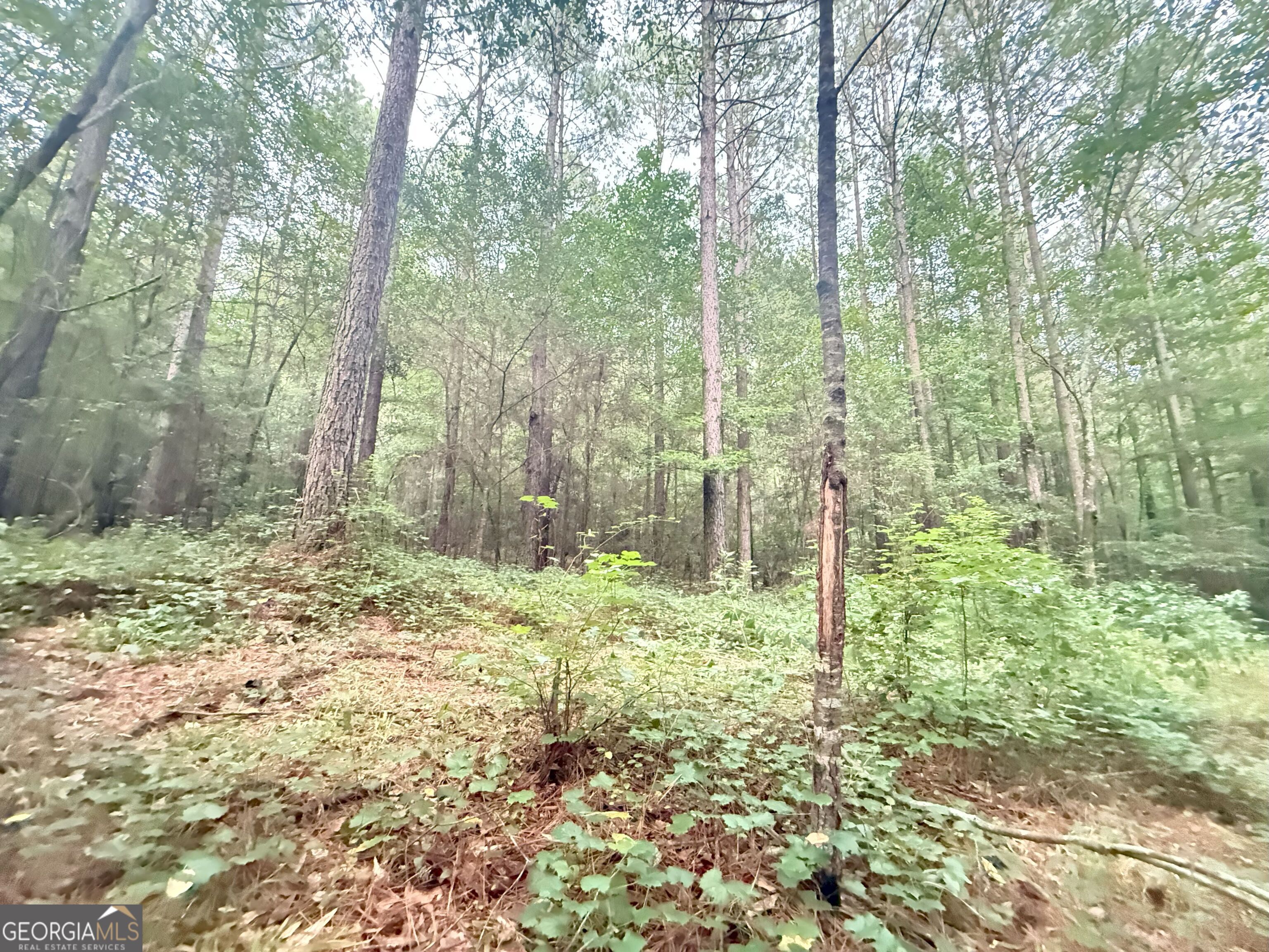 11 Owens Road Maysville, GA 30558 - Photo 20 of 147