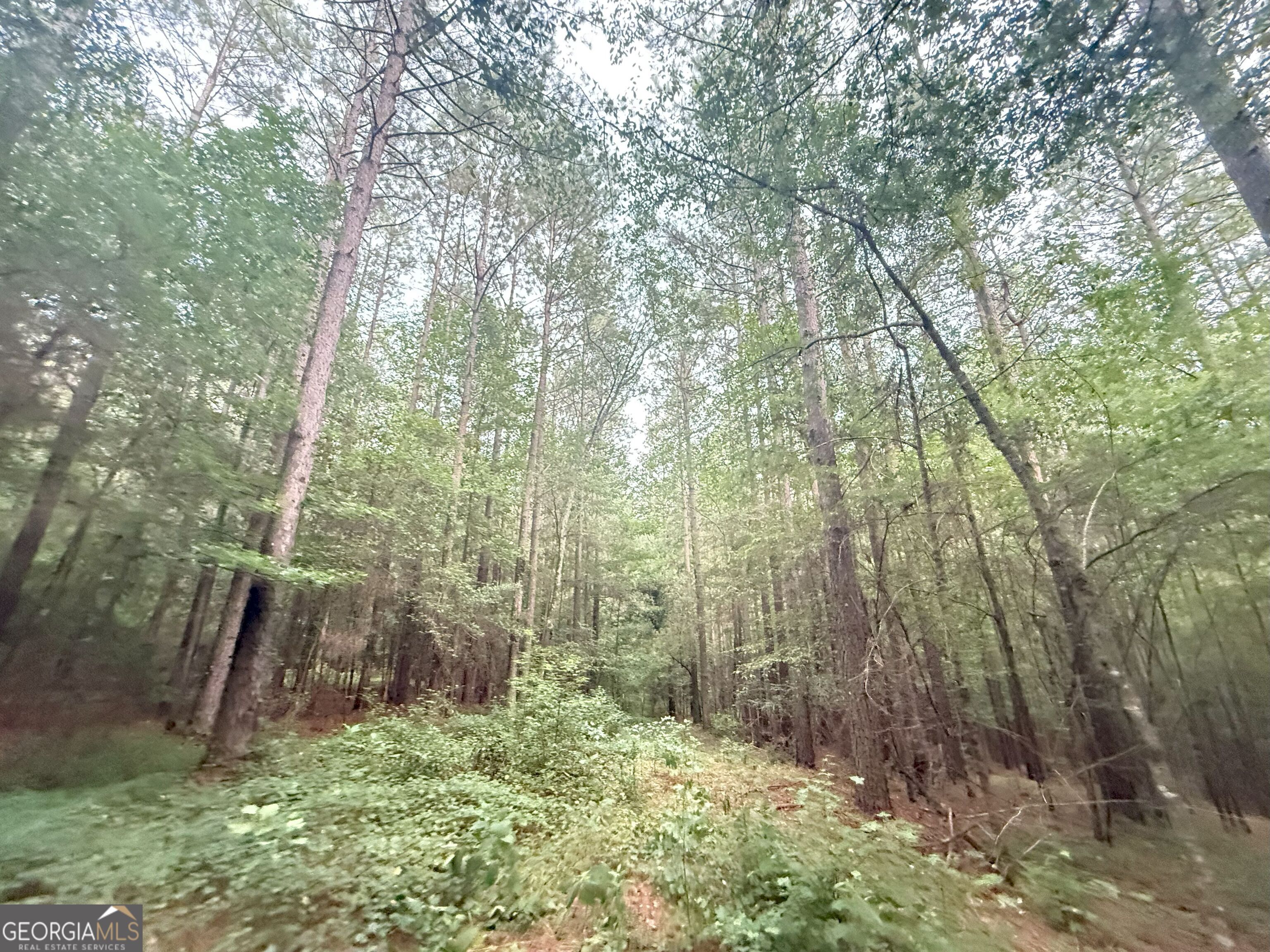 11 Owens Road Maysville, GA 30558 - Photo 21 of 147