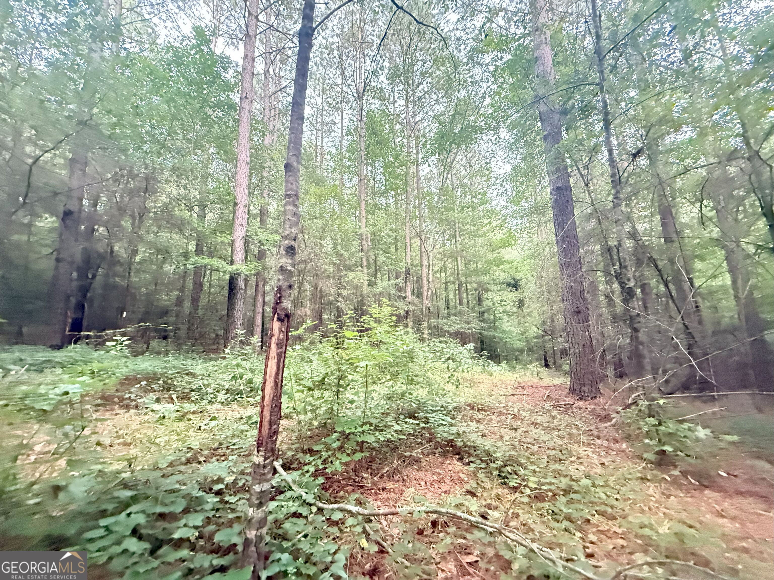 11 Owens Road Maysville, GA 30558 - Photo 22 of 147