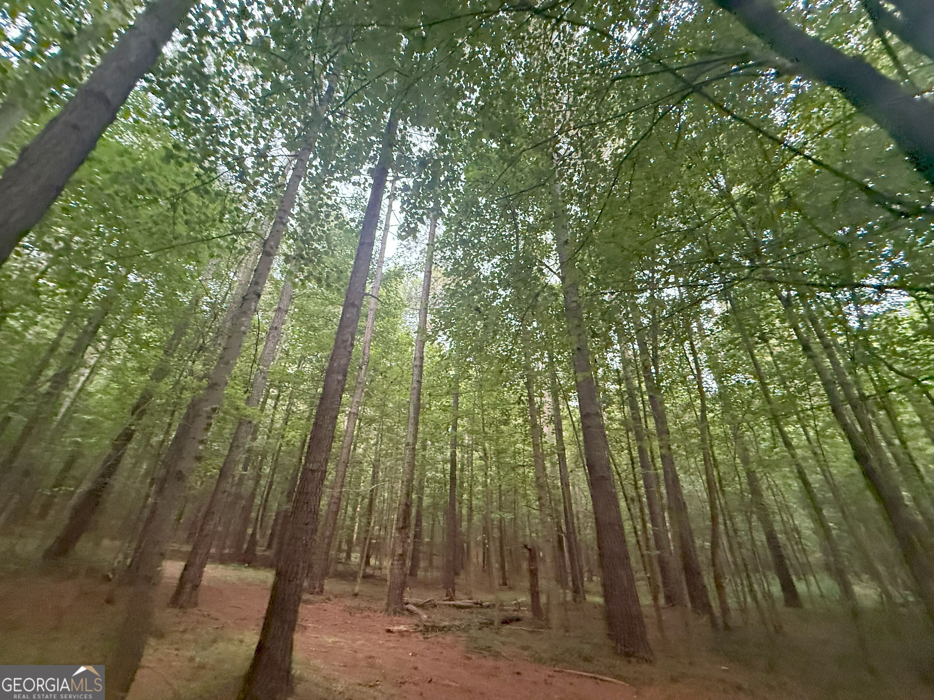 11 Owens Road Maysville, GA 30558 - Photo 23 of 147