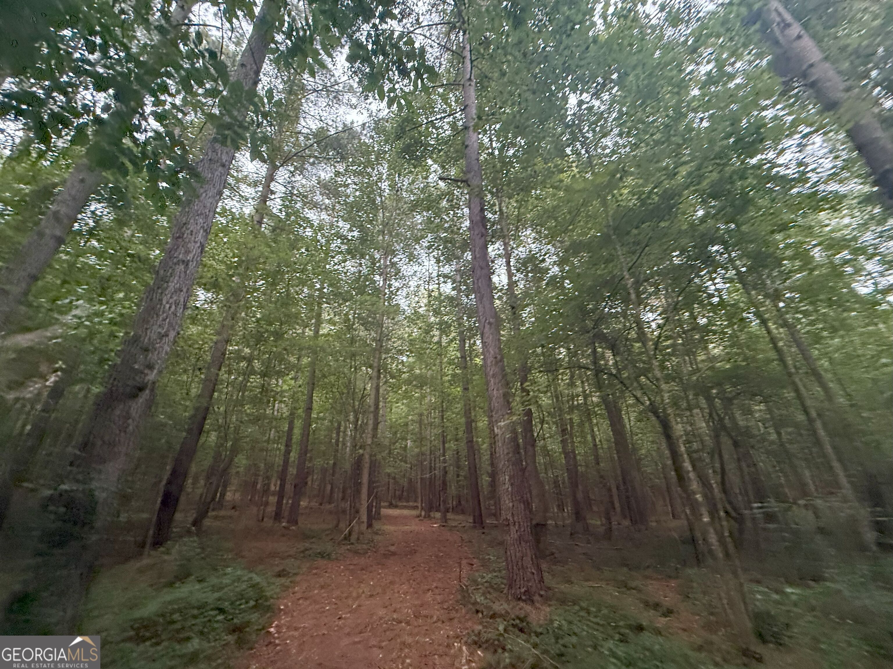 11 Owens Road Maysville, GA 30558 - Photo 26 of 147