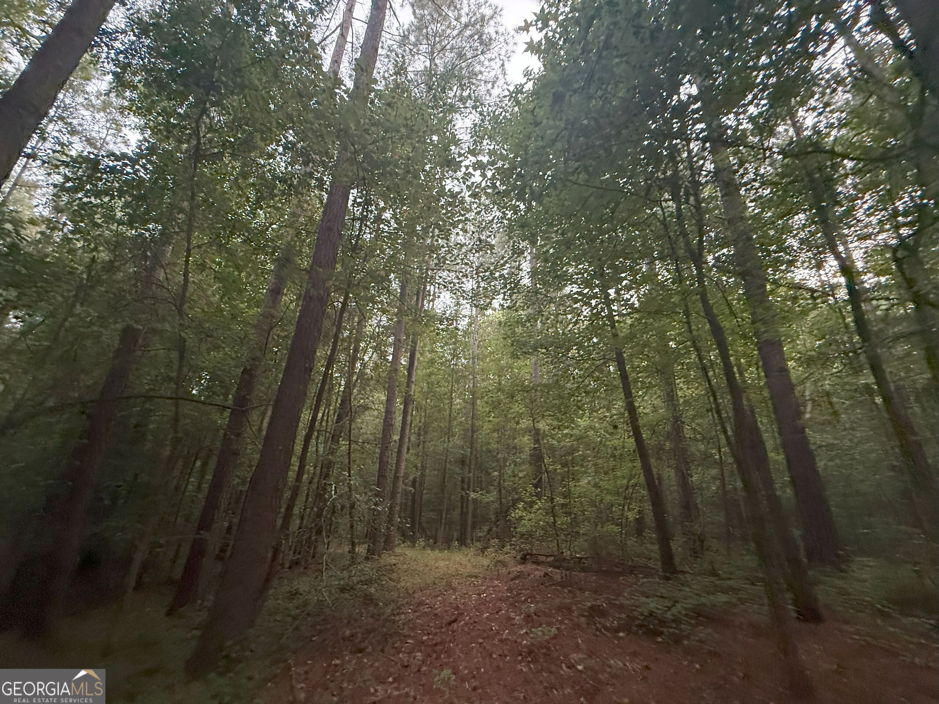 11 Owens Road Maysville, GA 30558 - Photo 27 of 147