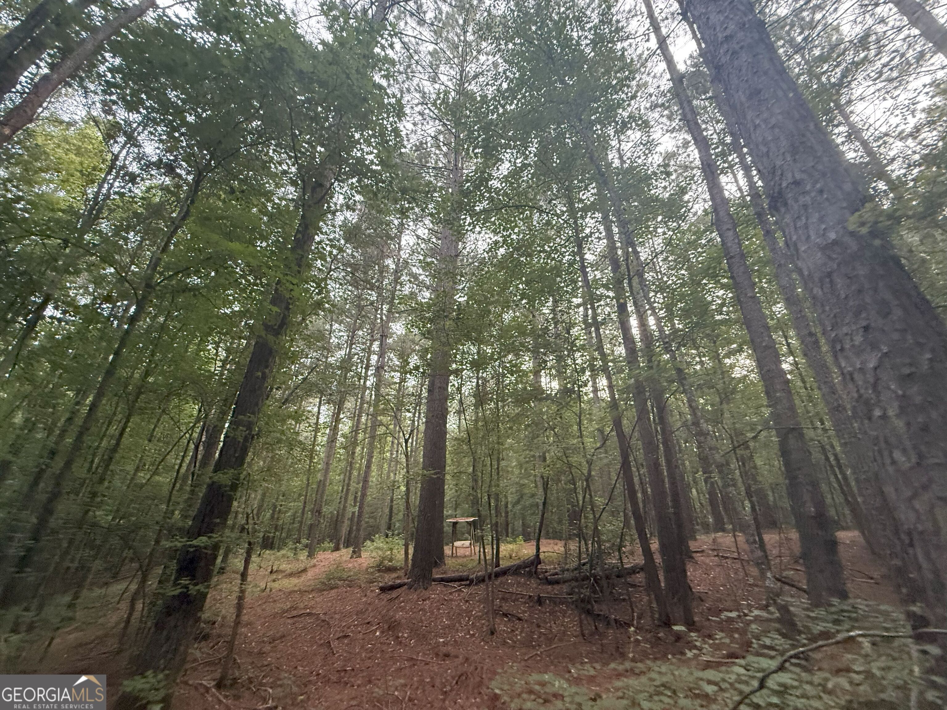 11 Owens Road Maysville, GA 30558 - Photo 29 of 147