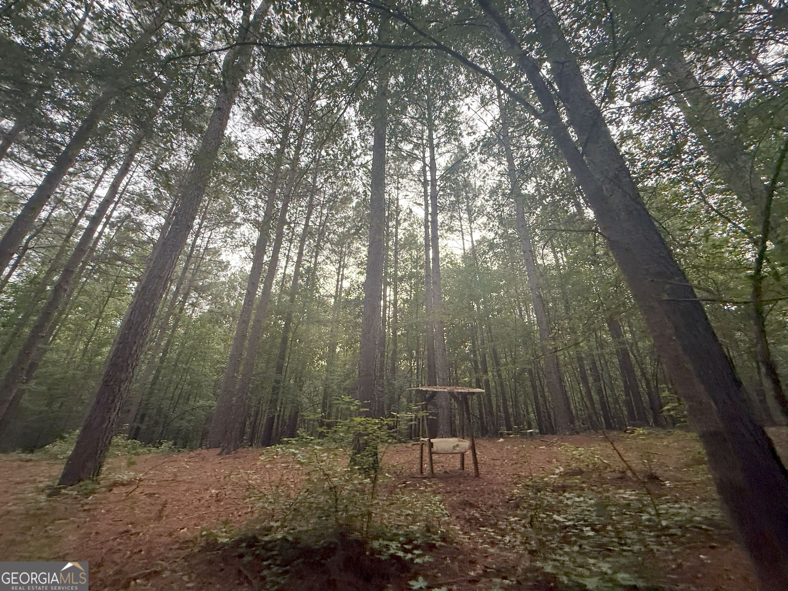 11 Owens Road Maysville, GA 30558 - Photo 30 of 147