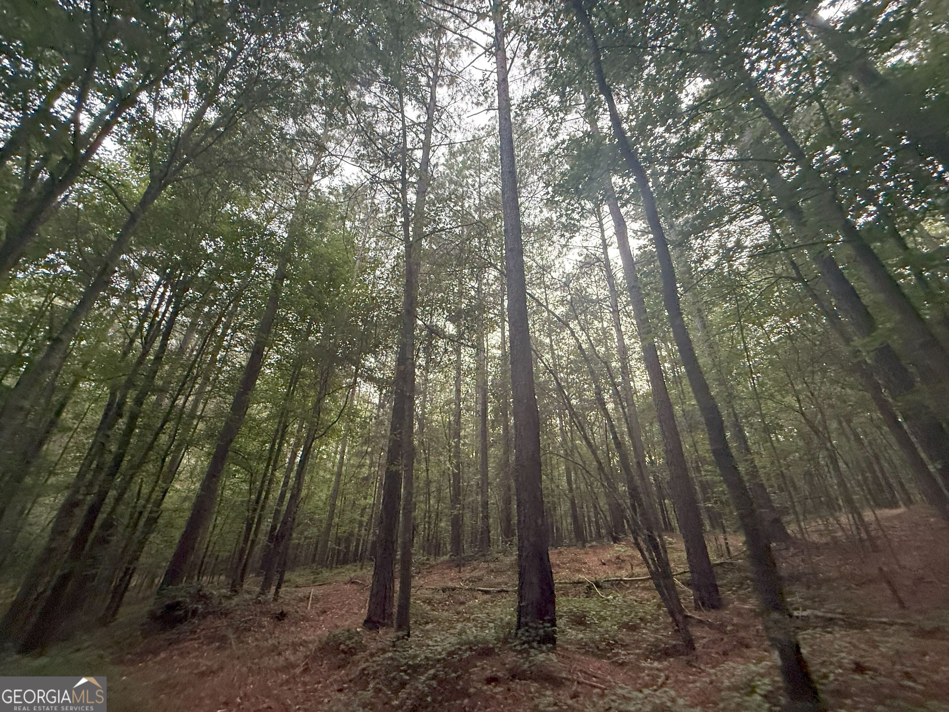 11 Owens Road Maysville, GA 30558 - Photo 31 of 147