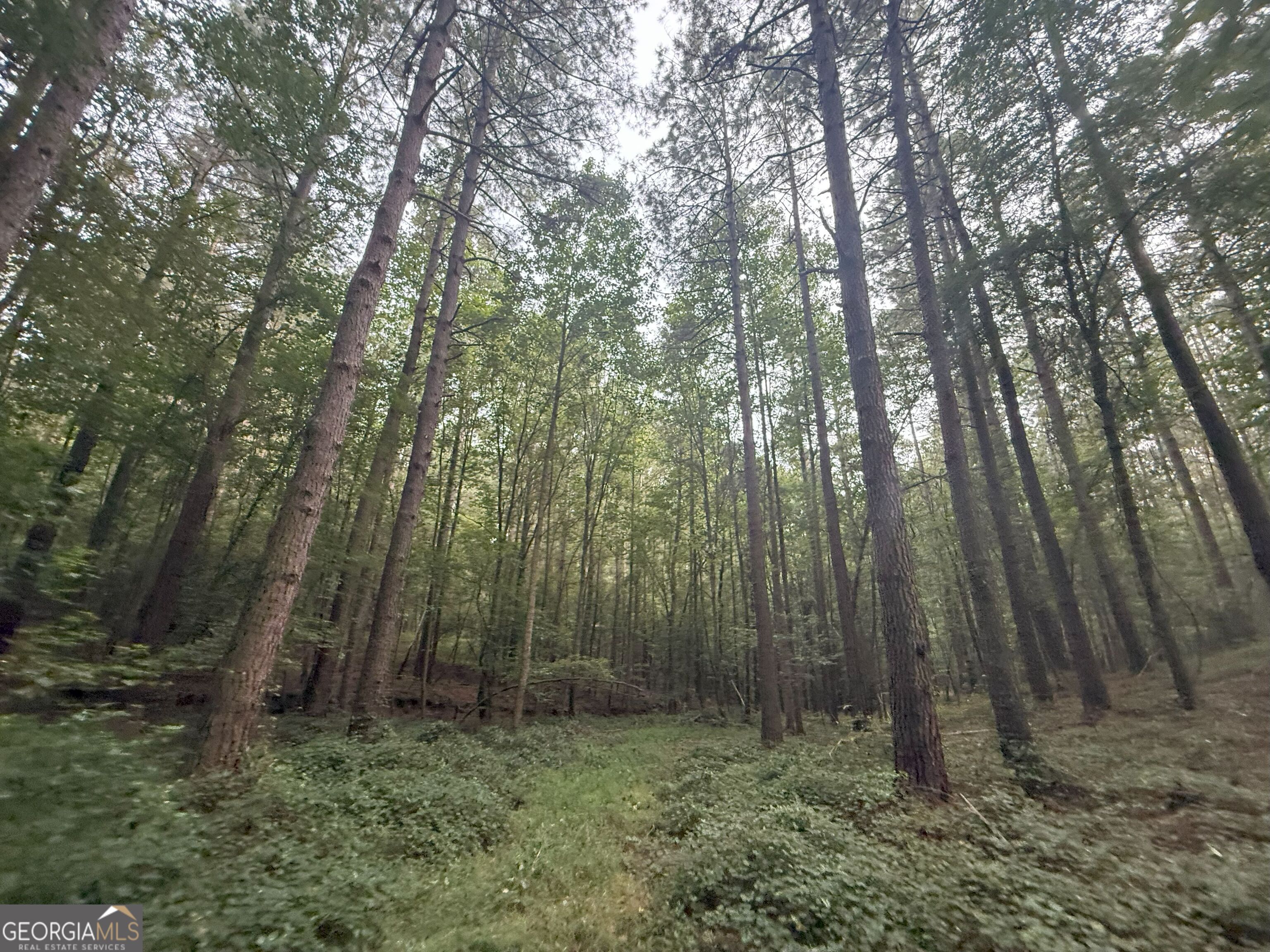 11 Owens Road Maysville, GA 30558 - Photo 32 of 147