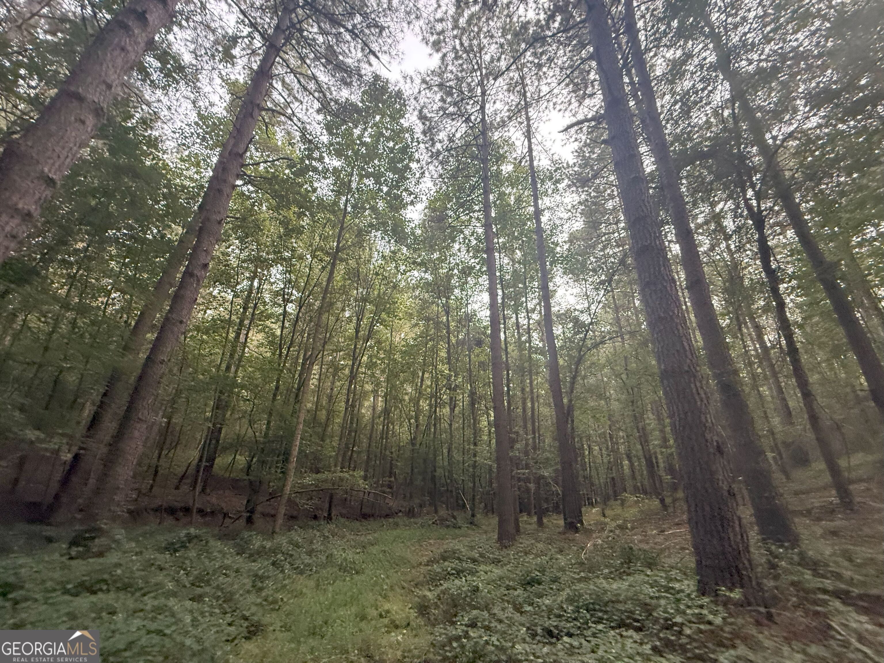 11 Owens Road Maysville, GA 30558 - Photo 33 of 147