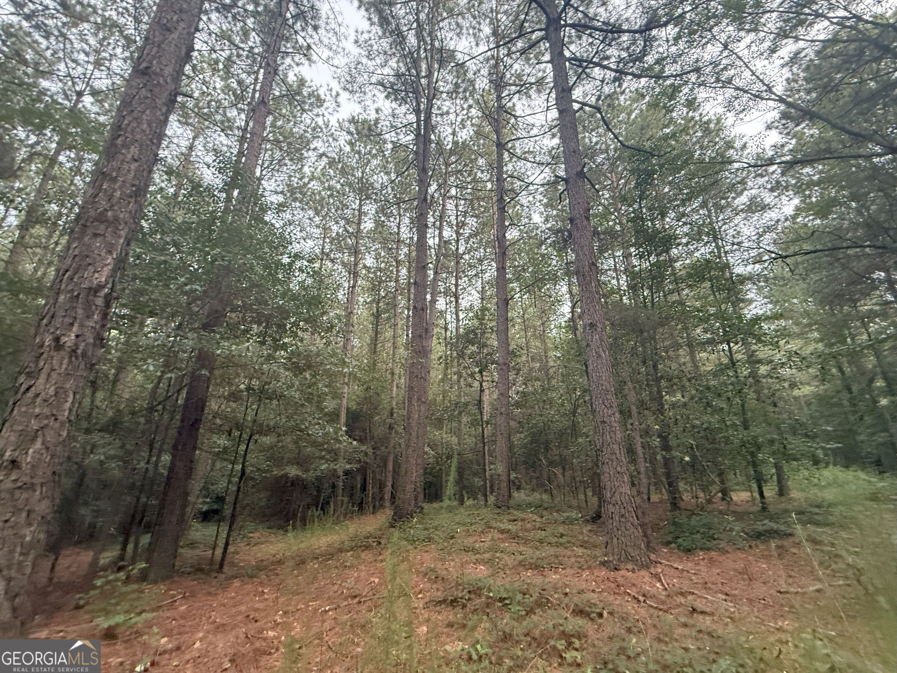 11 Owens Road Maysville, GA 30558 - Photo 35 of 147