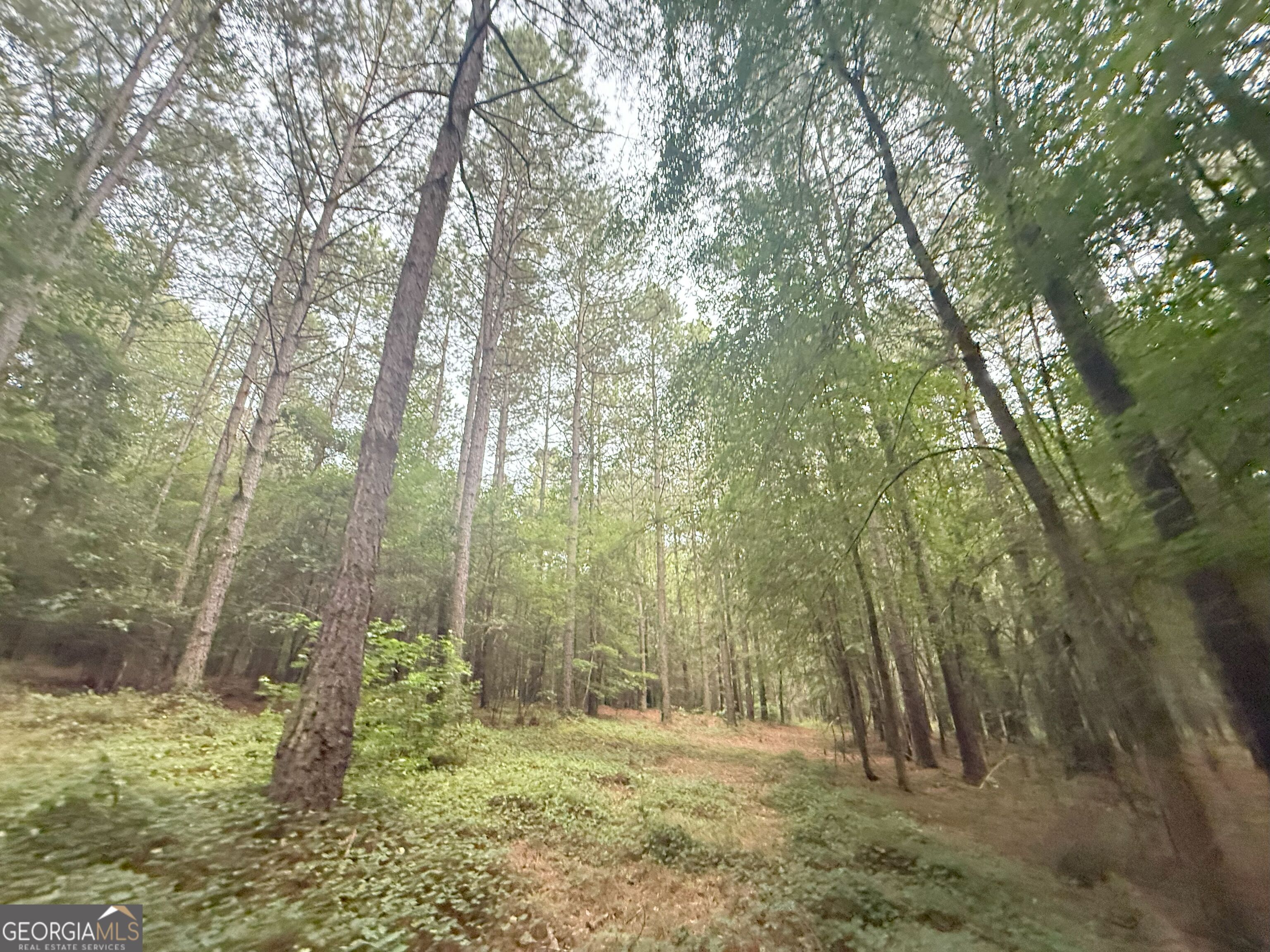 11 Owens Road Maysville, GA 30558 - Photo 37 of 147