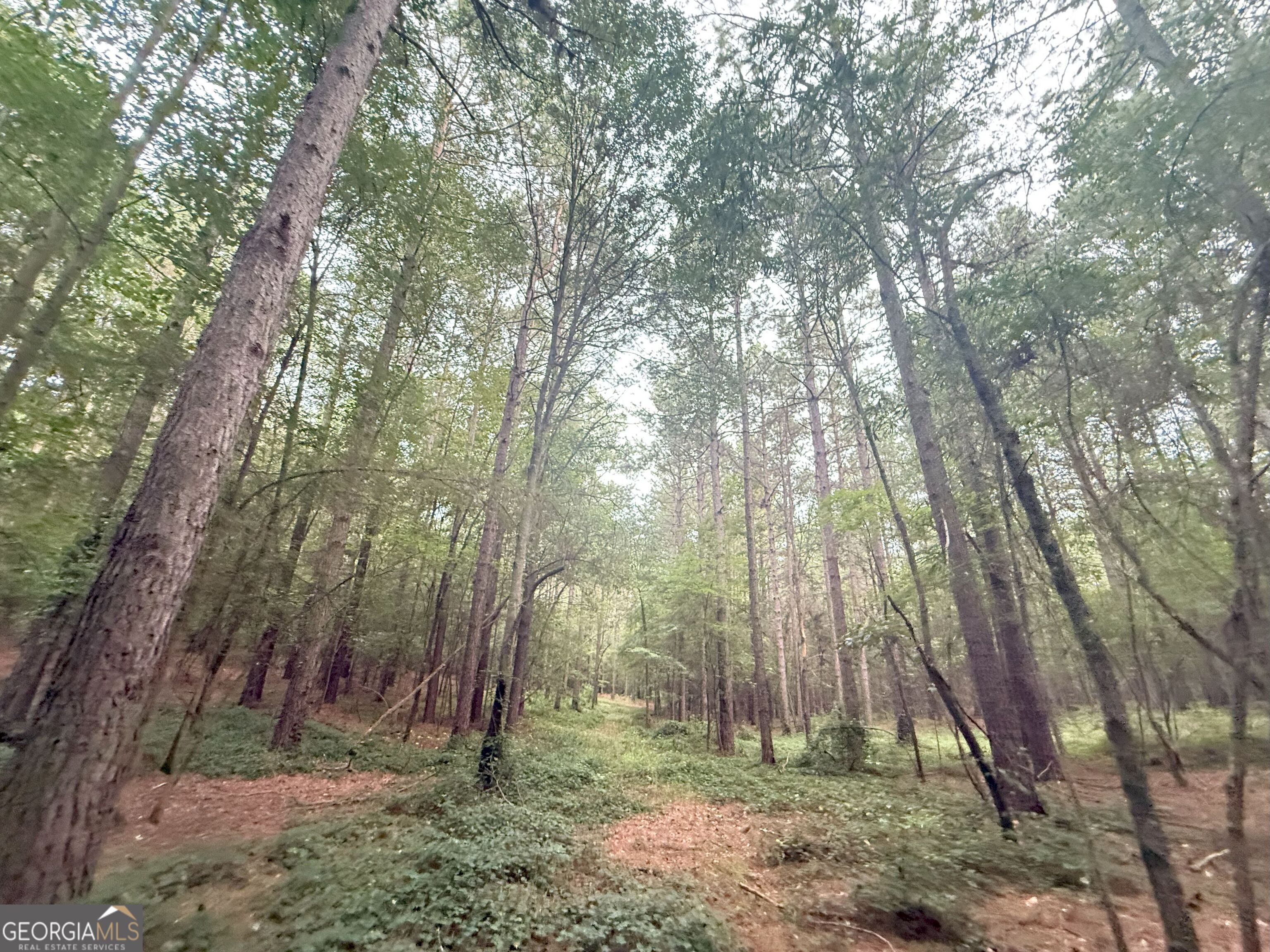 11 Owens Road Maysville, GA 30558 - Photo 38 of 147