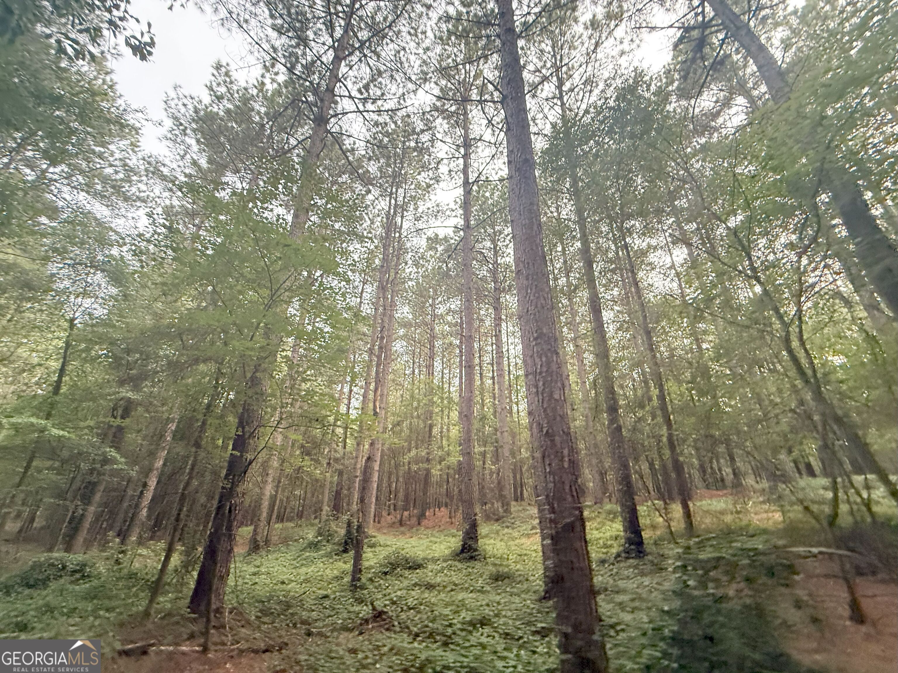 11 Owens Road Maysville, GA 30558 - Photo 39 of 147