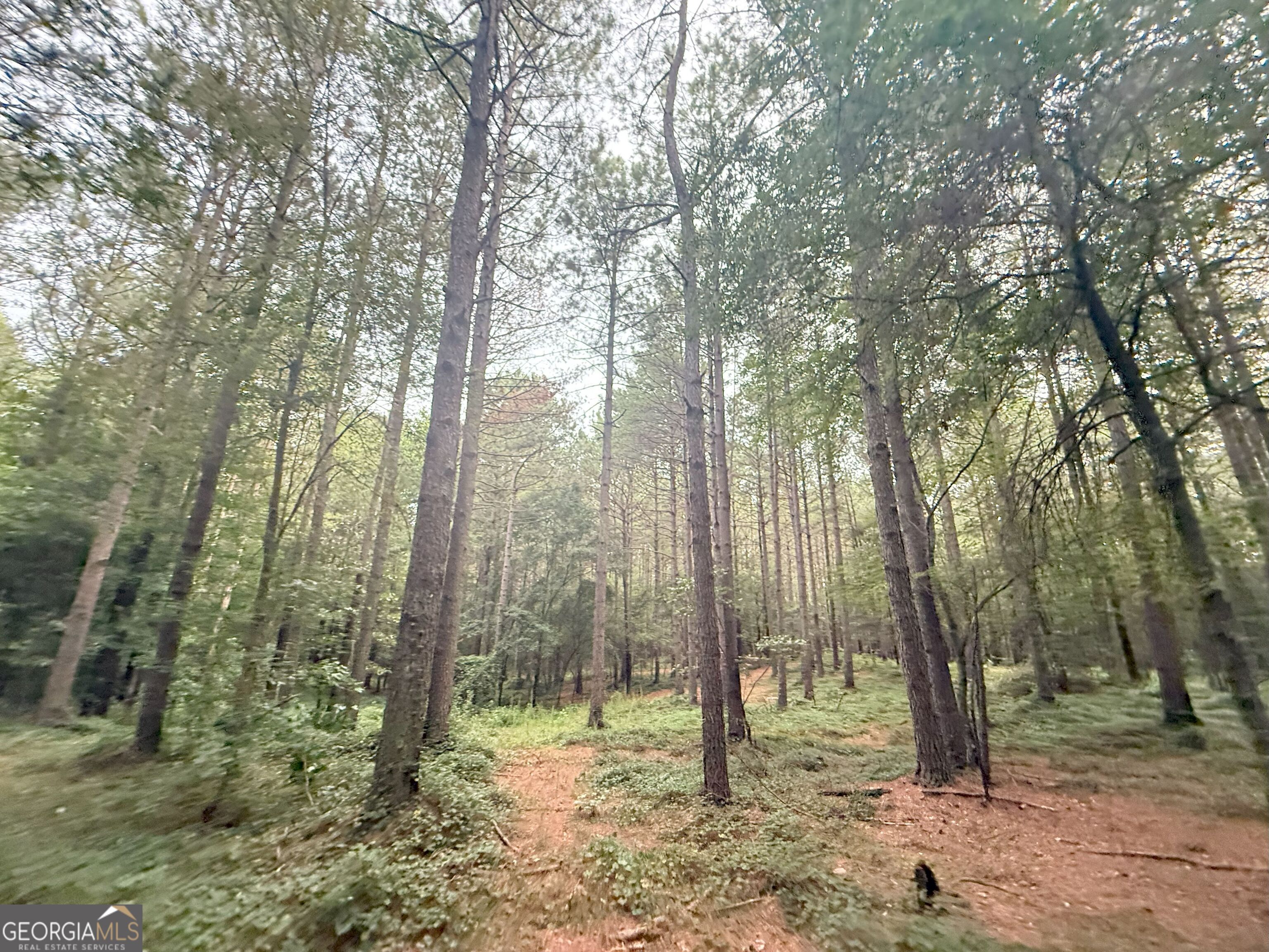 11 Owens Road Maysville, GA 30558 - Photo 40 of 147