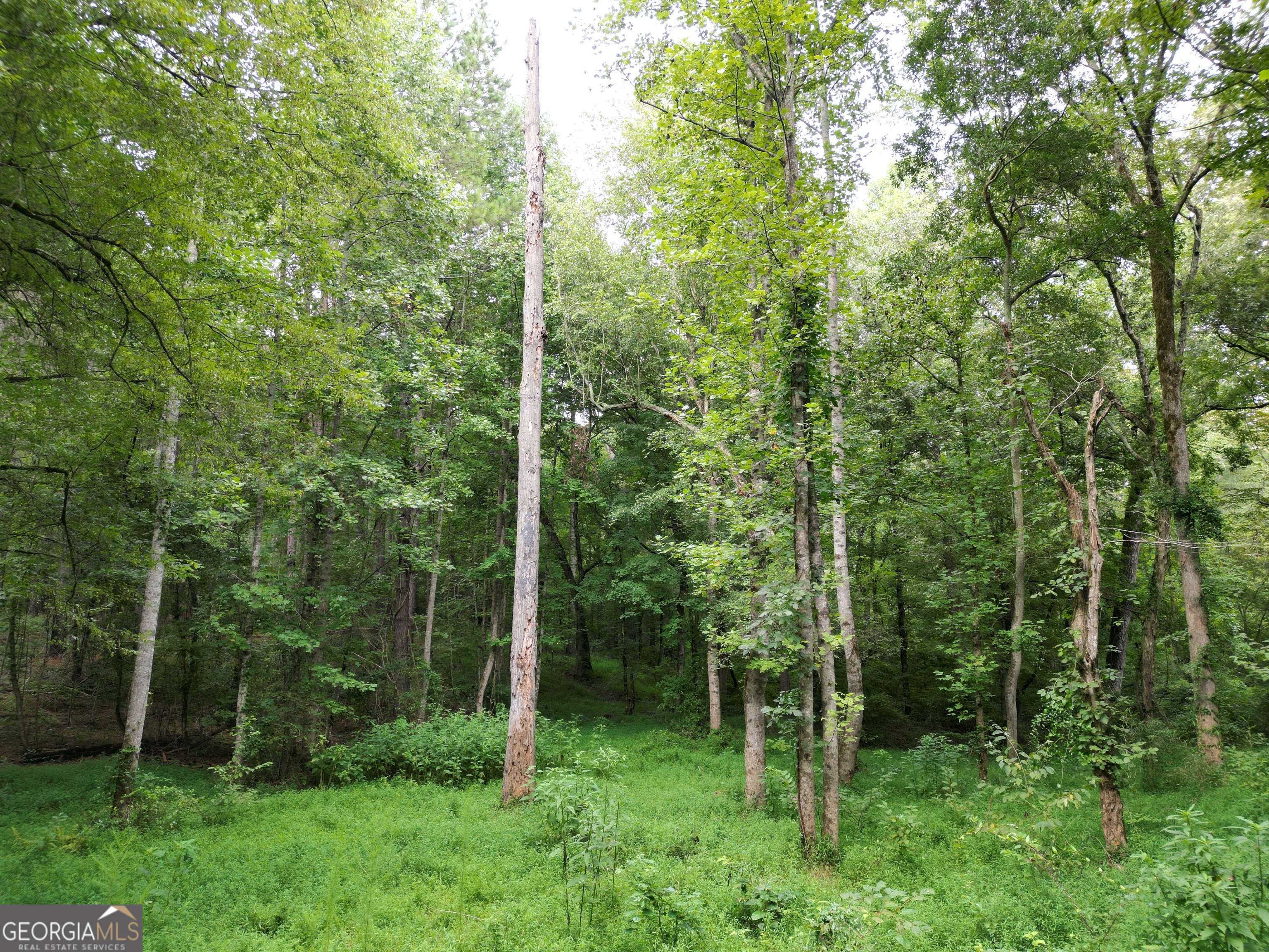 11 Owens Road Maysville, GA 30558 - Photo 4 of 147