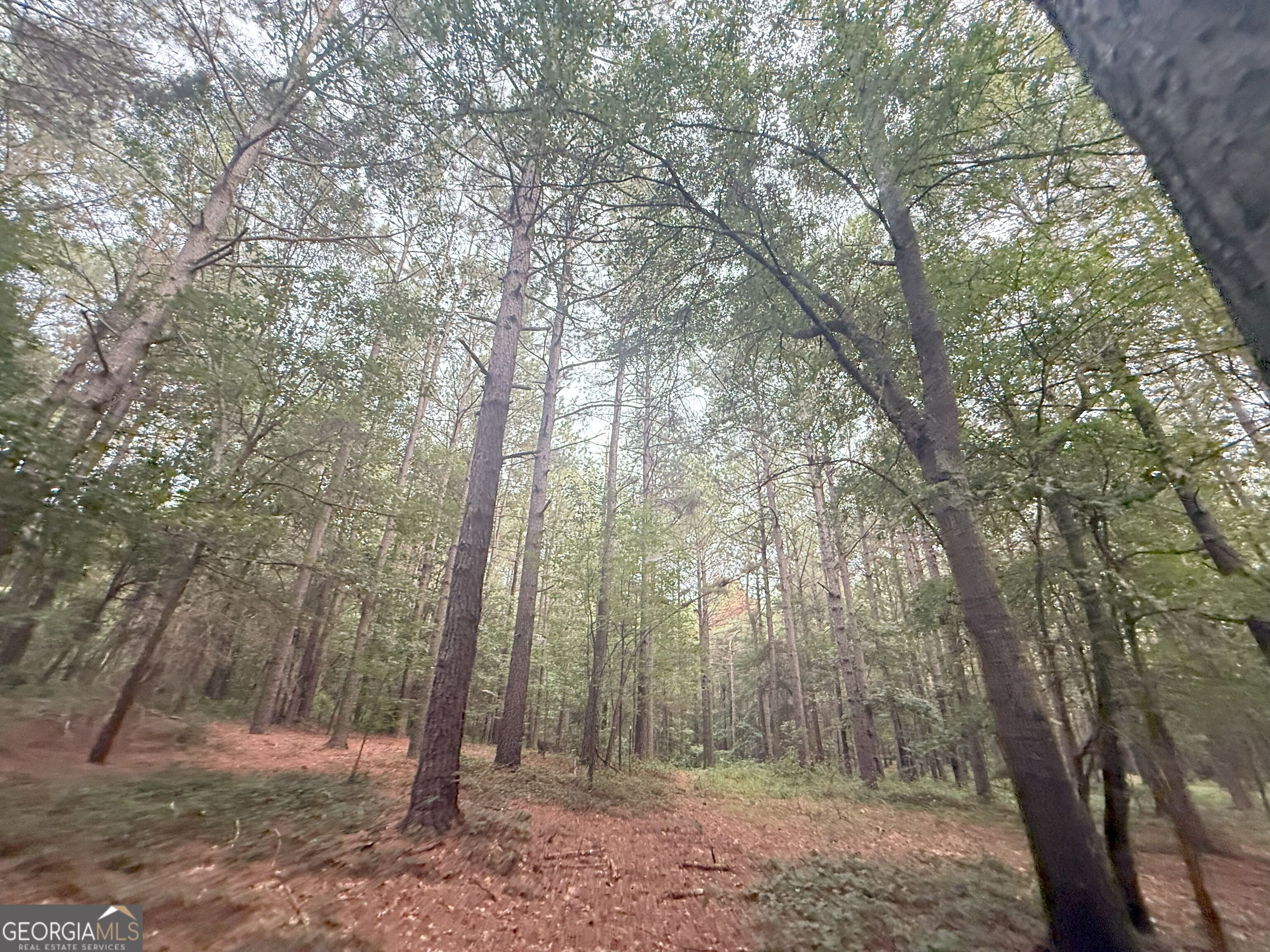 11 Owens Road Maysville, GA 30558 - Photo 43 of 147