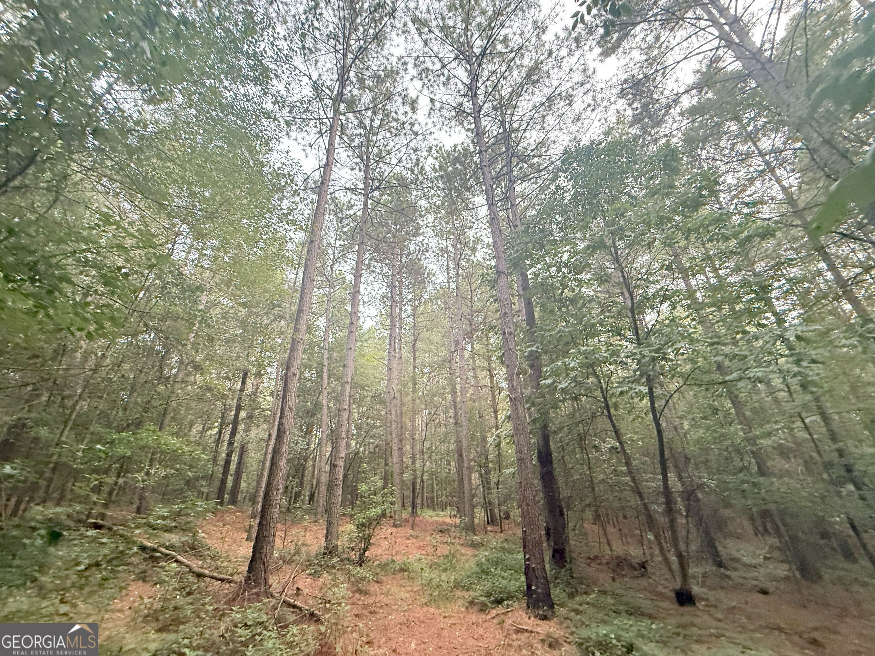 11 Owens Road Maysville, GA 30558 - Photo 45 of 147