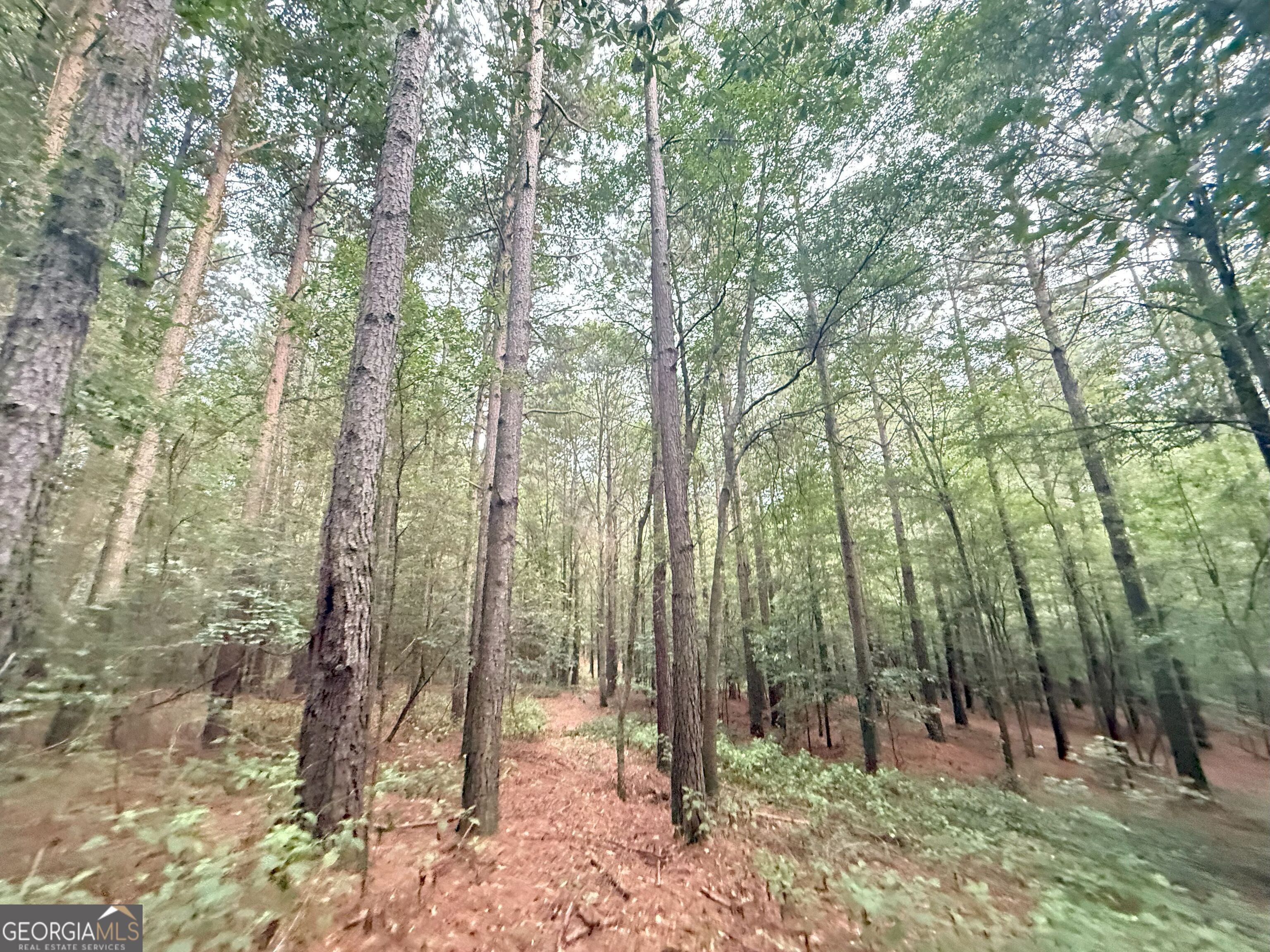 11 Owens Road Maysville, GA 30558 - Photo 46 of 147