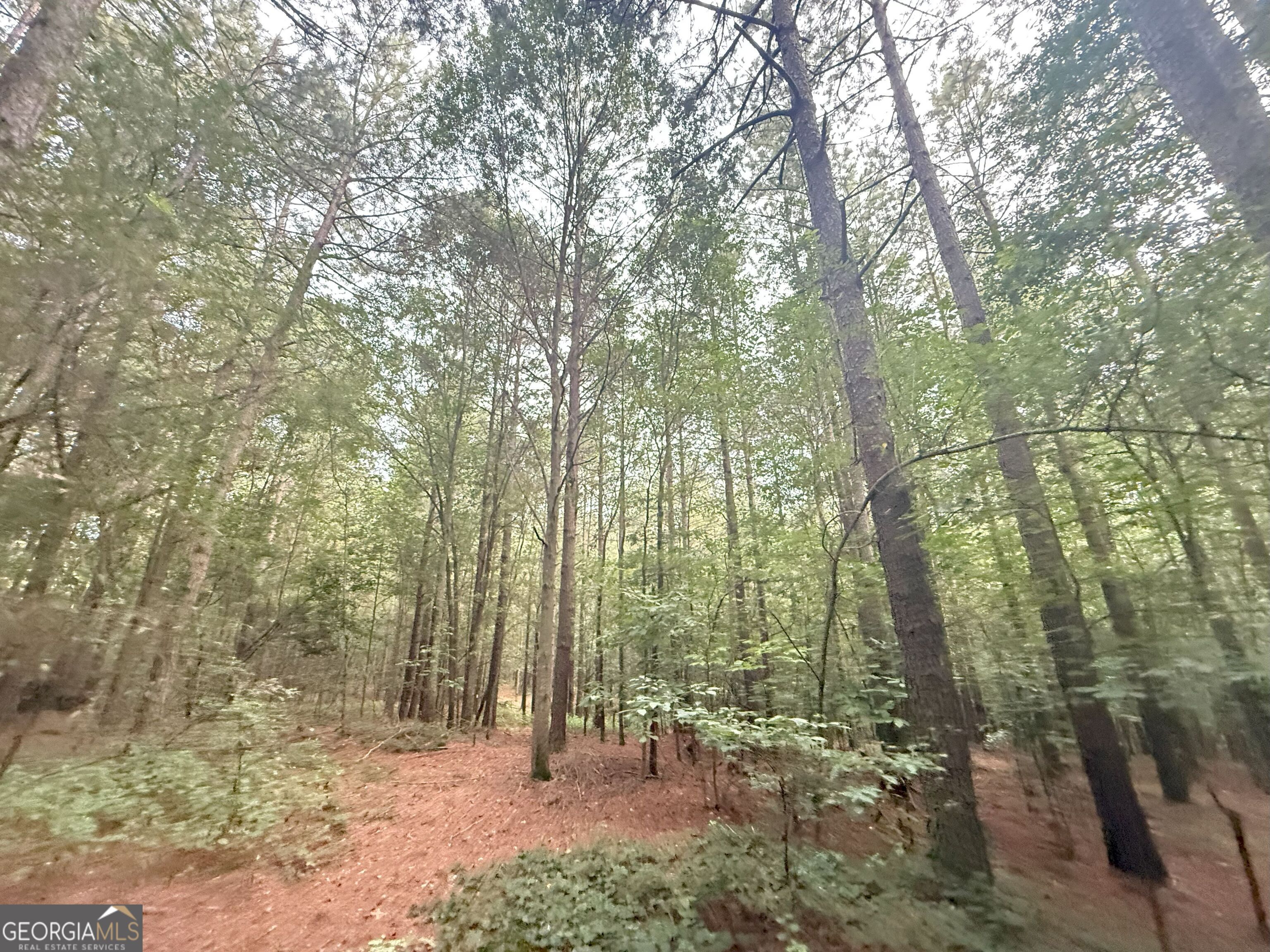 11 Owens Road Maysville, GA 30558 - Photo 47 of 147 a view of outdoor space and green space