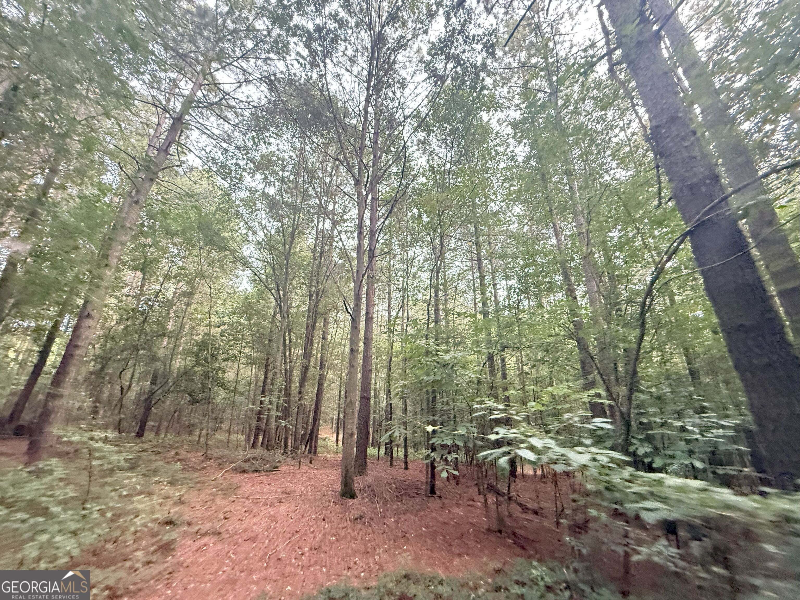 11 Owens Road Maysville, GA 30558 - Photo 48 of 147