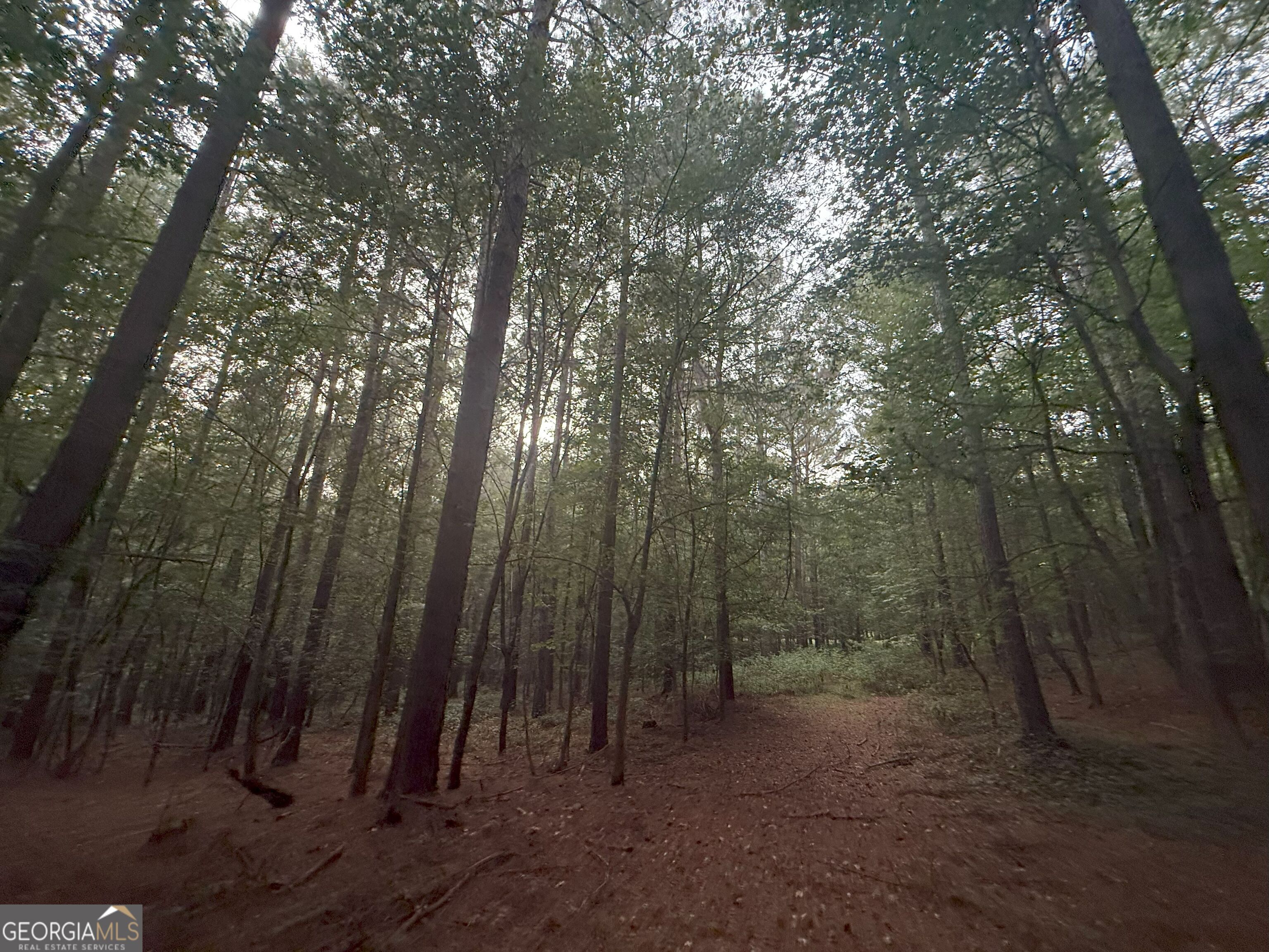 11 Owens Road Maysville, GA 30558 - Photo 54 of 147