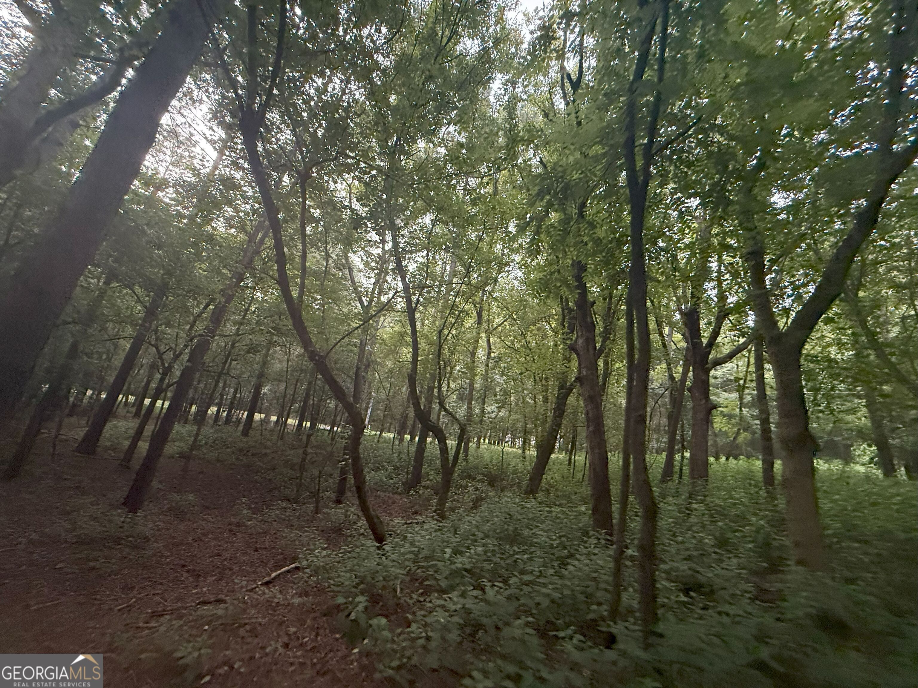 11 Owens Road Maysville, GA 30558 - Photo 56 of 147 a view of outdoor space and trees