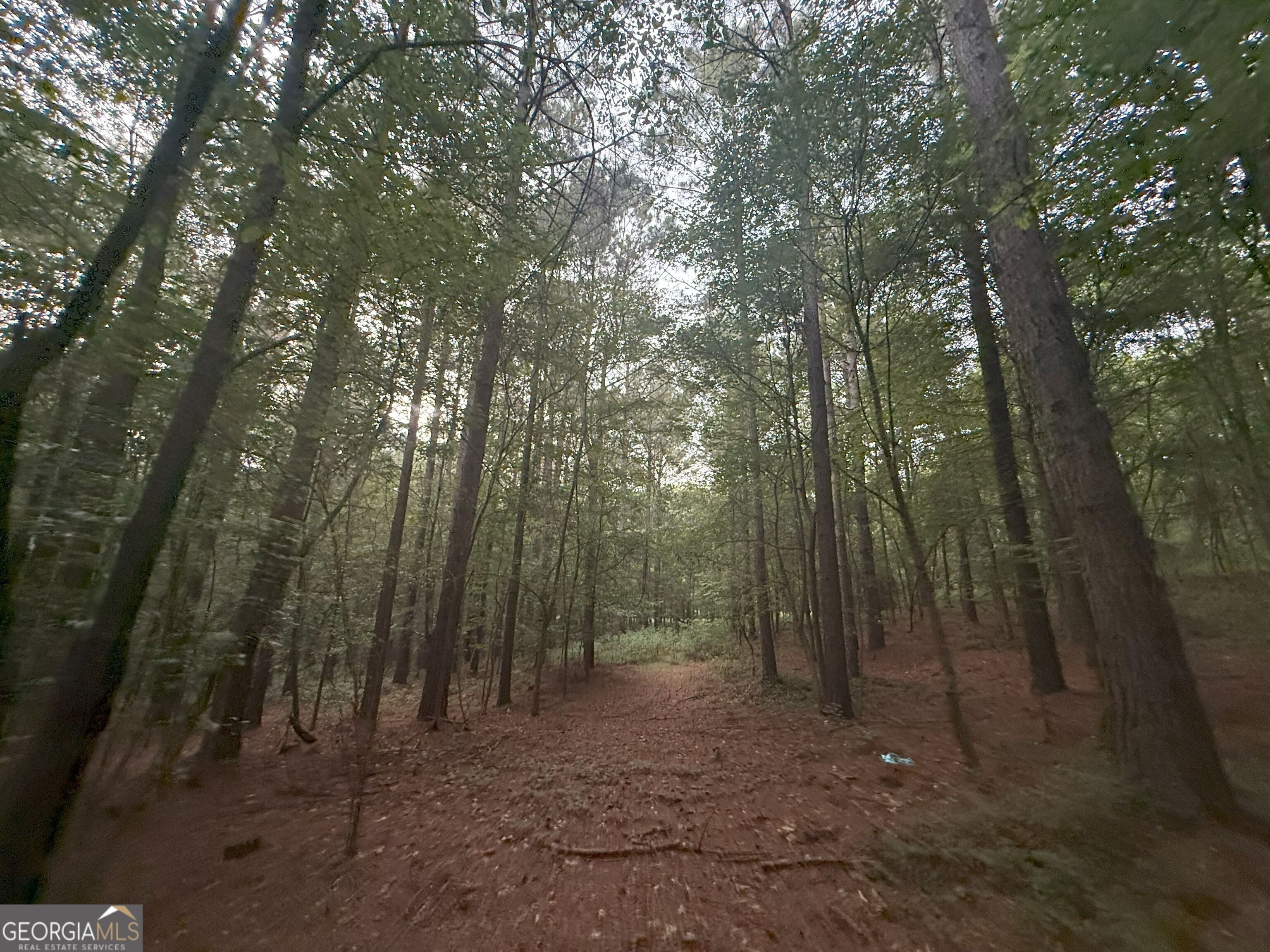 11 Owens Road Maysville, GA 30558 - Photo 57 of 147