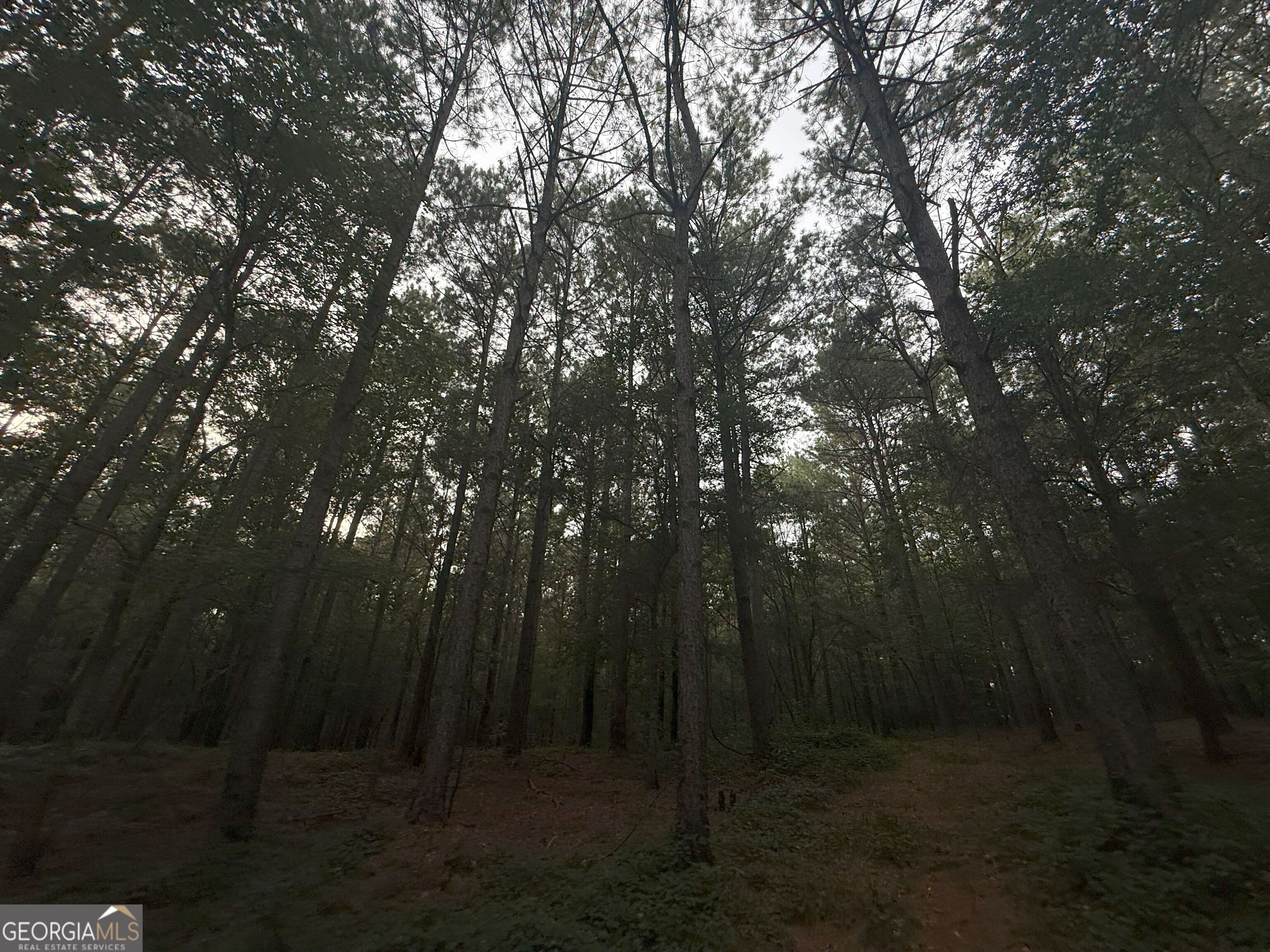 11 Owens Road Maysville, GA 30558 - Photo 58 of 147 a view of outdoor space and yard
