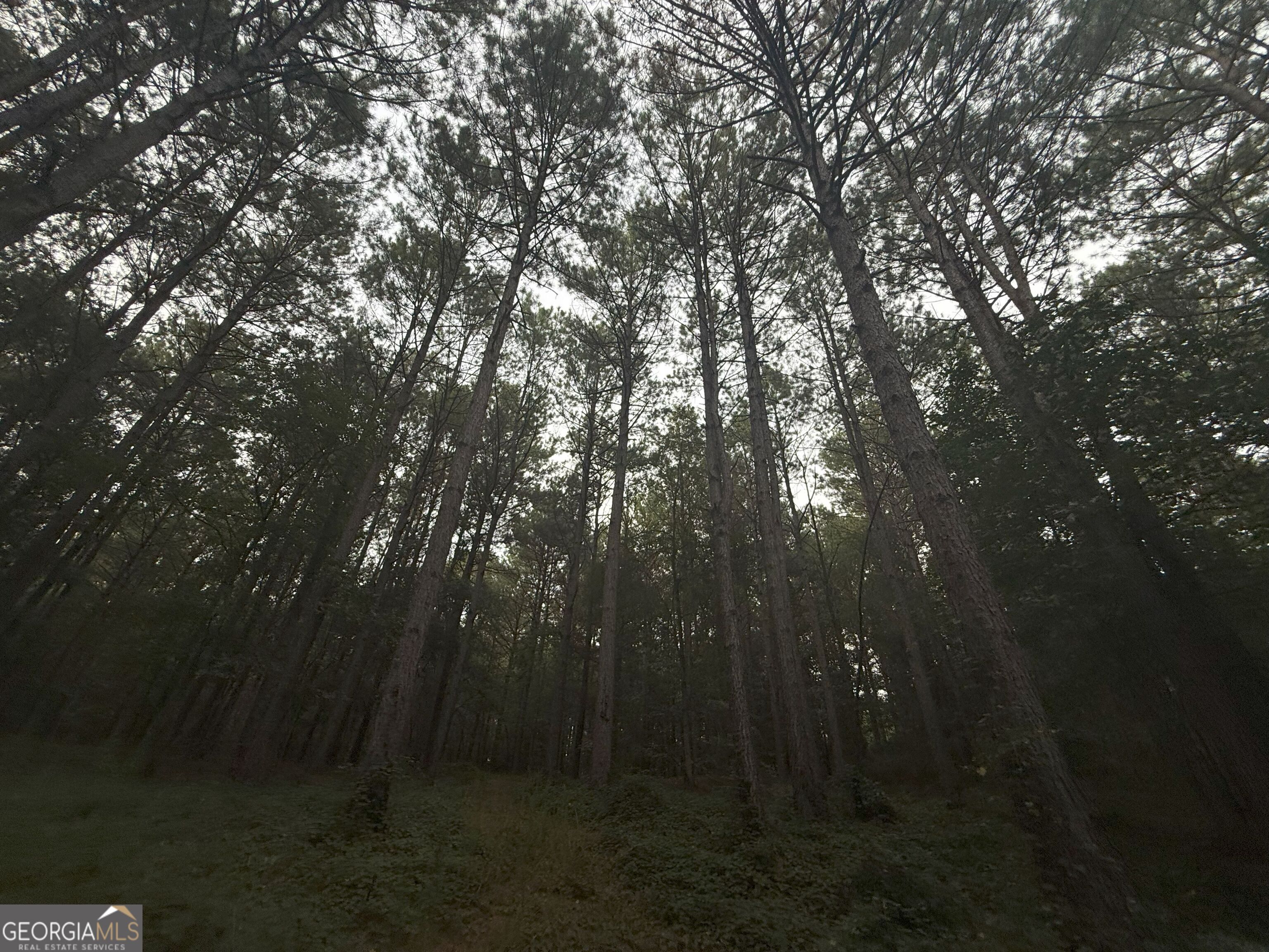 11 Owens Road Maysville, GA 30558 - Photo 60 of 147 a view of outdoor space