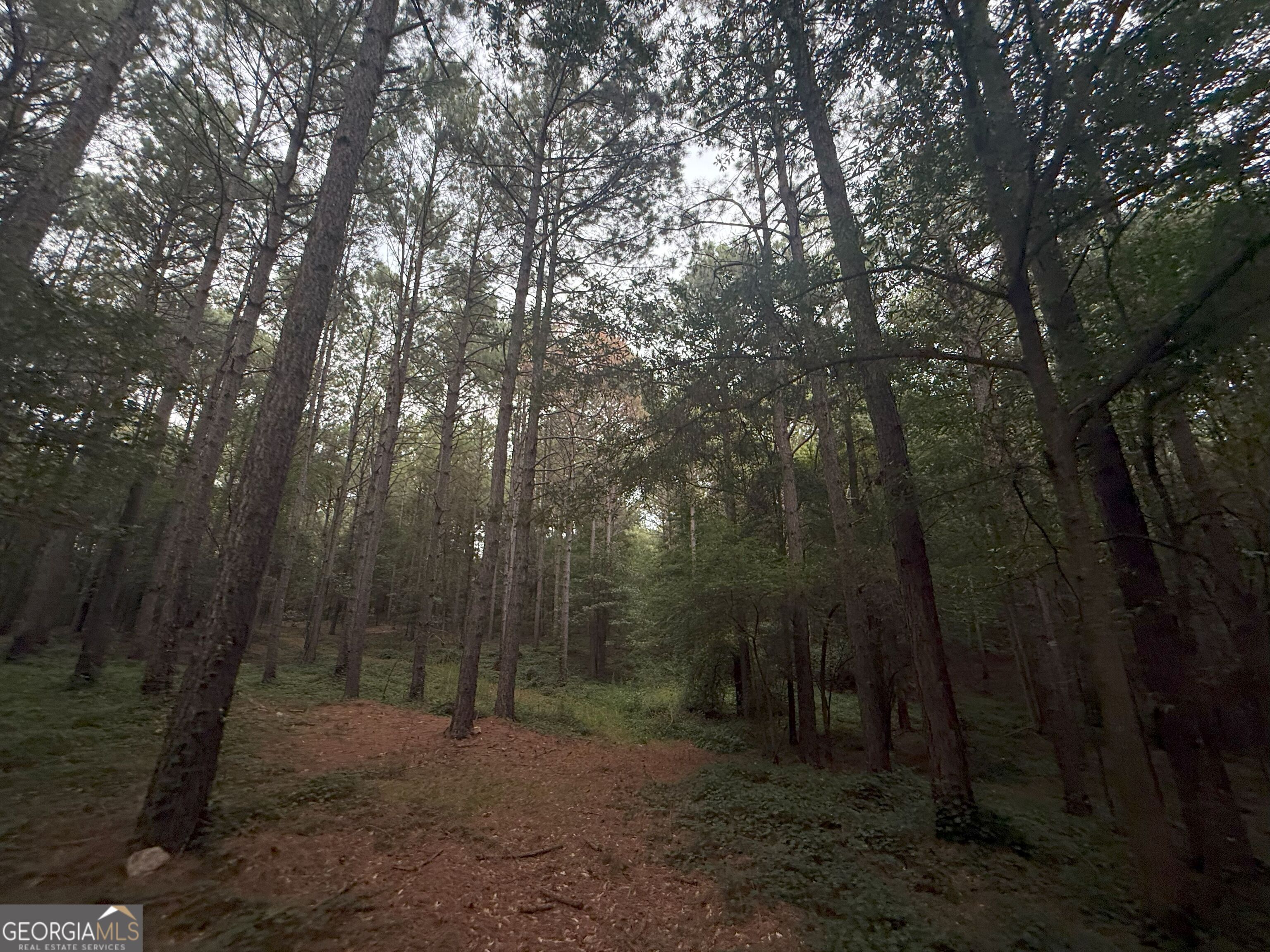 11 Owens Road Maysville, GA 30558 - Photo 61 of 147