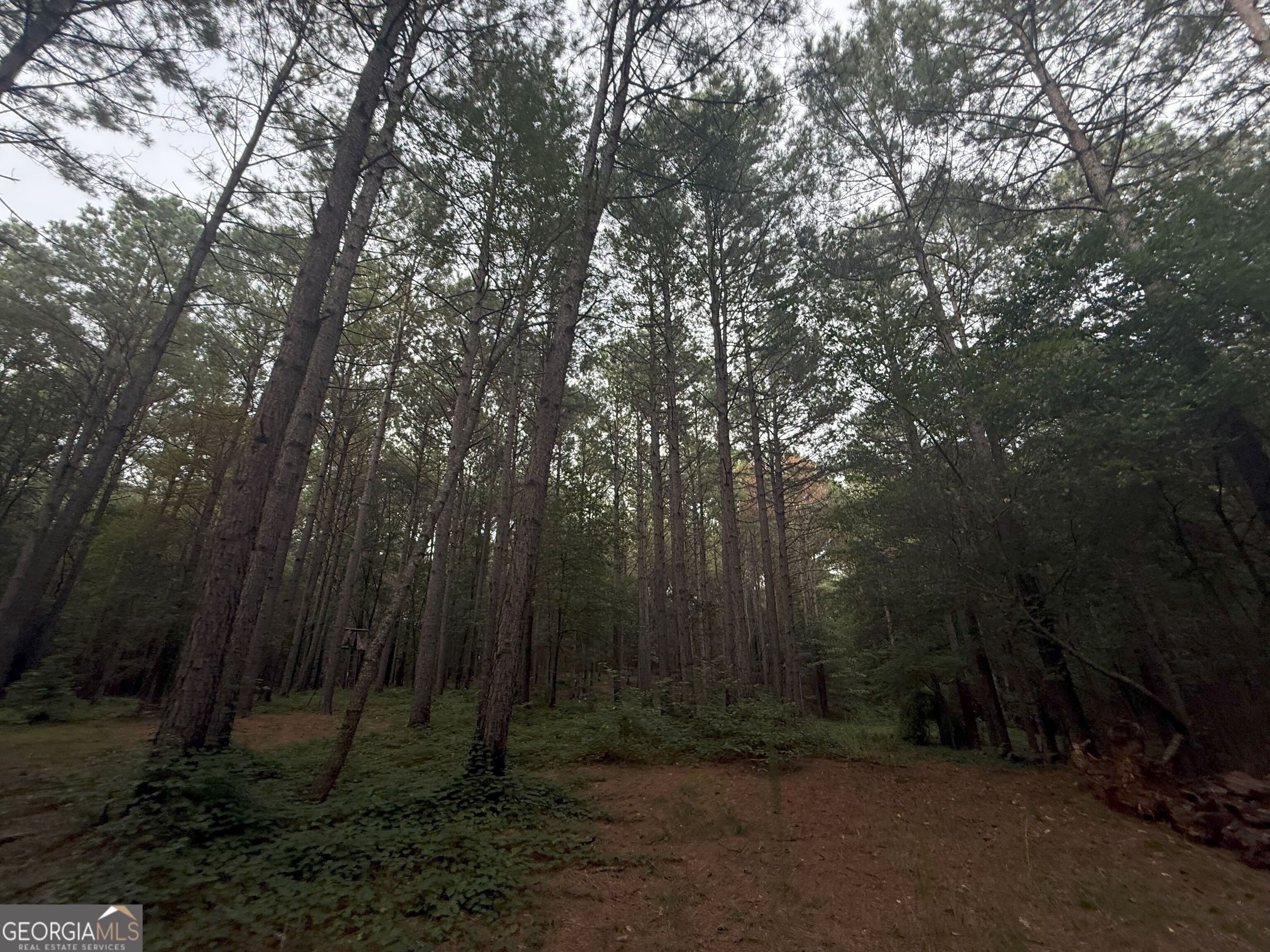 11 Owens Road Maysville, GA 30558 - Photo 62 of 147