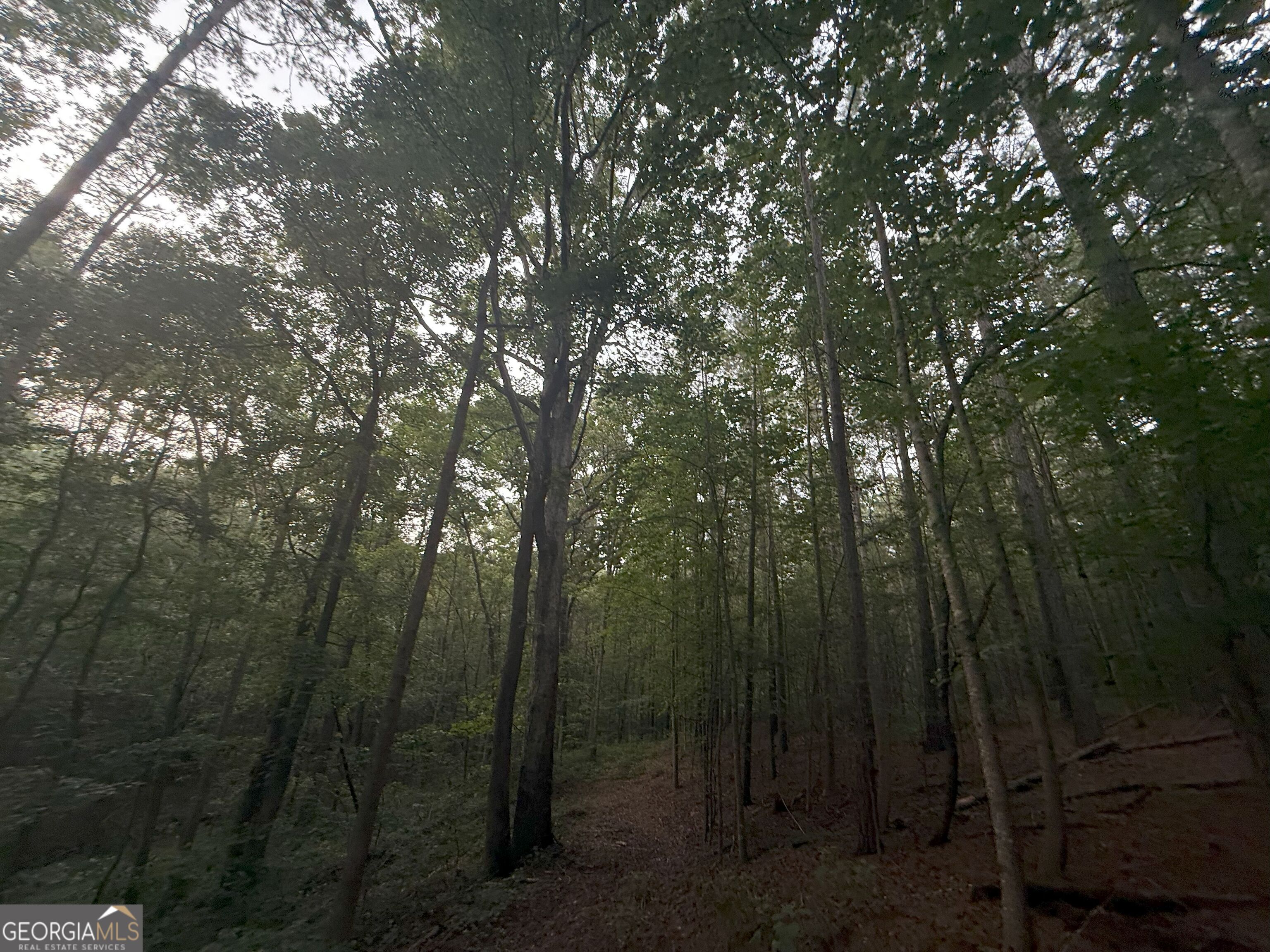 11 Owens Road Maysville, GA 30558 - Photo 63 of 147