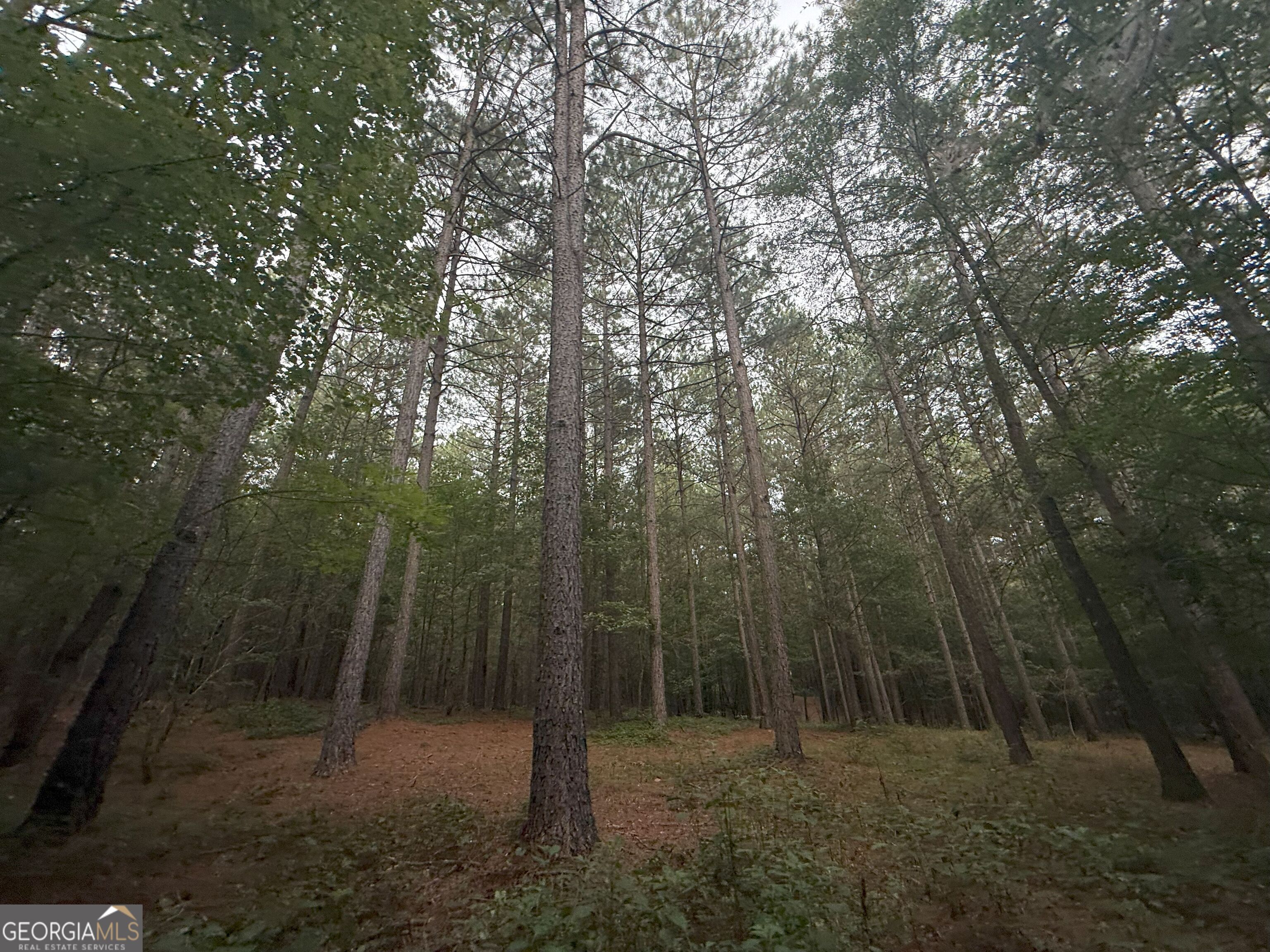 11 Owens Road Maysville, GA 30558 - Photo 64 of 147