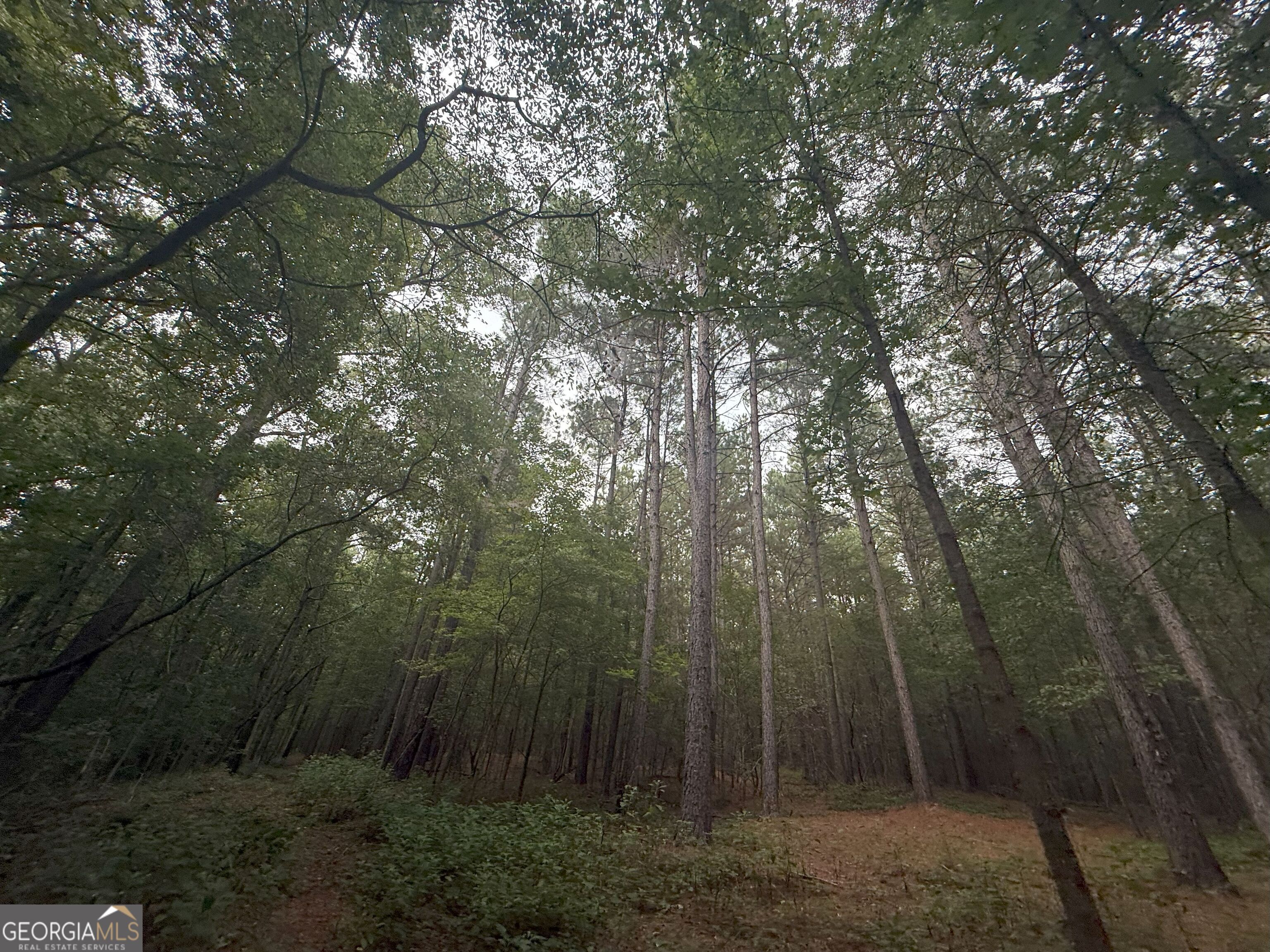 11 Owens Road Maysville, GA 30558 - Photo 65 of 147