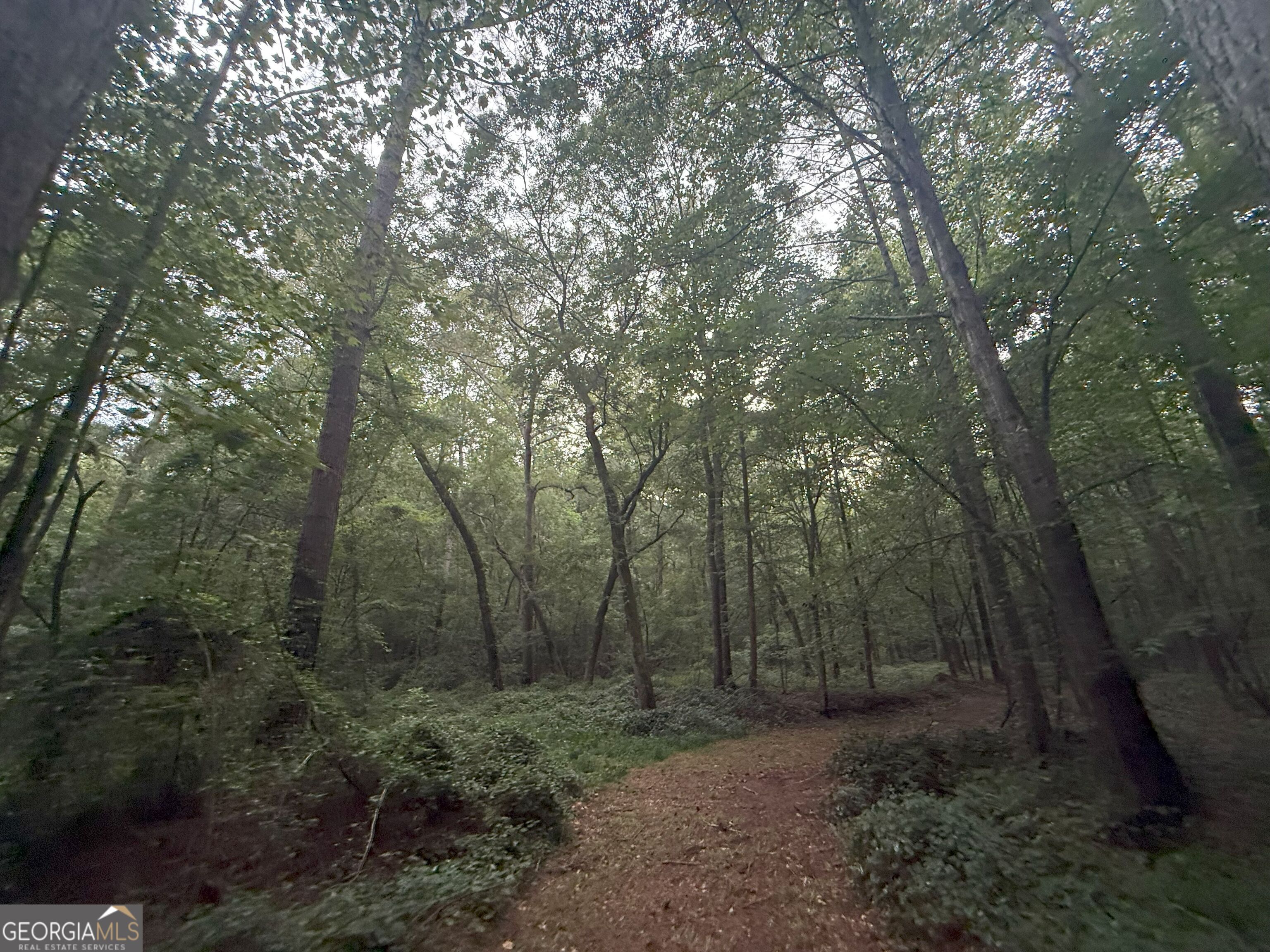 11 Owens Road Maysville, GA 30558 - Photo 67 of 147