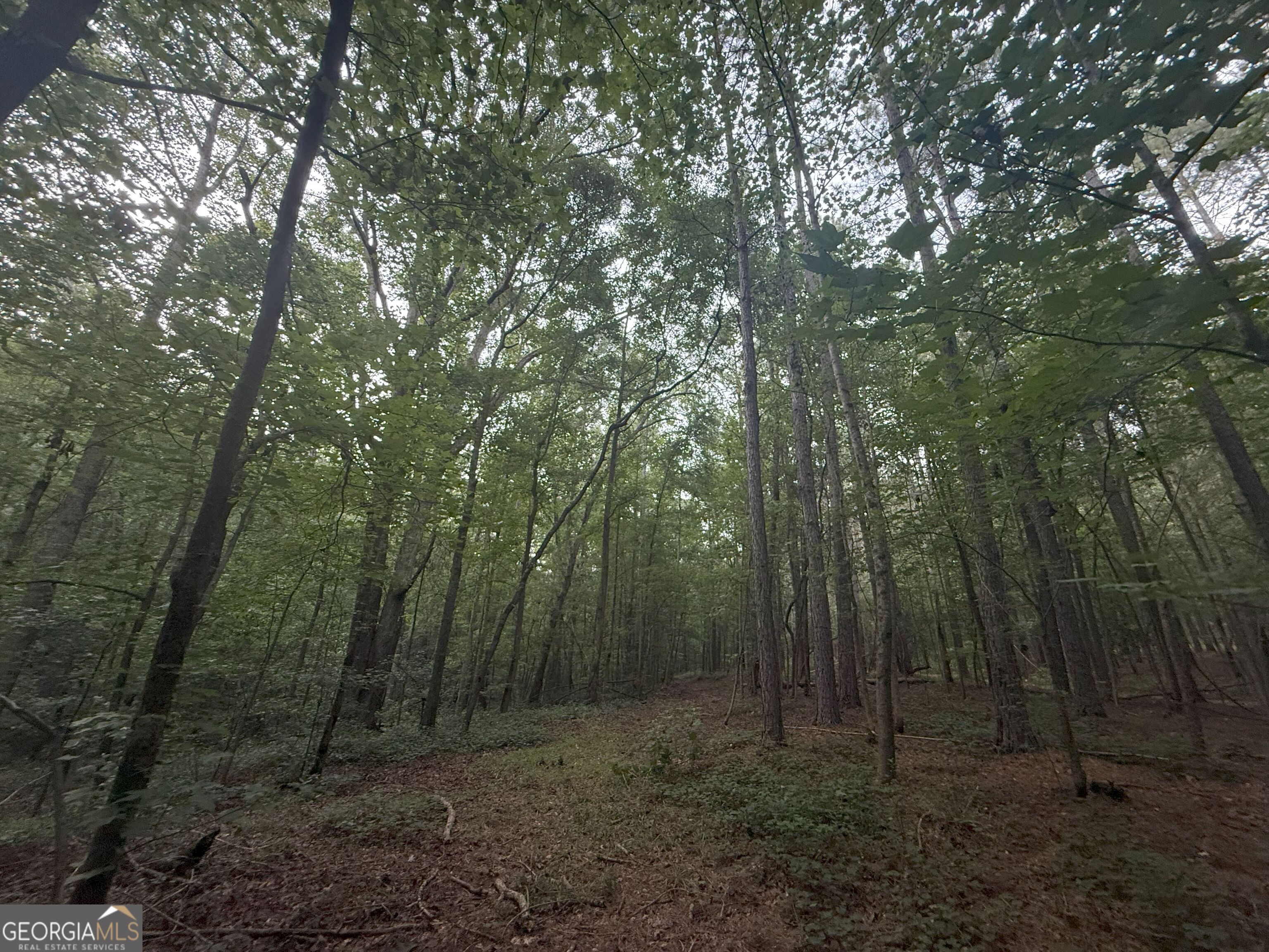 11 Owens Road Maysville, GA 30558 - Photo 68 of 147