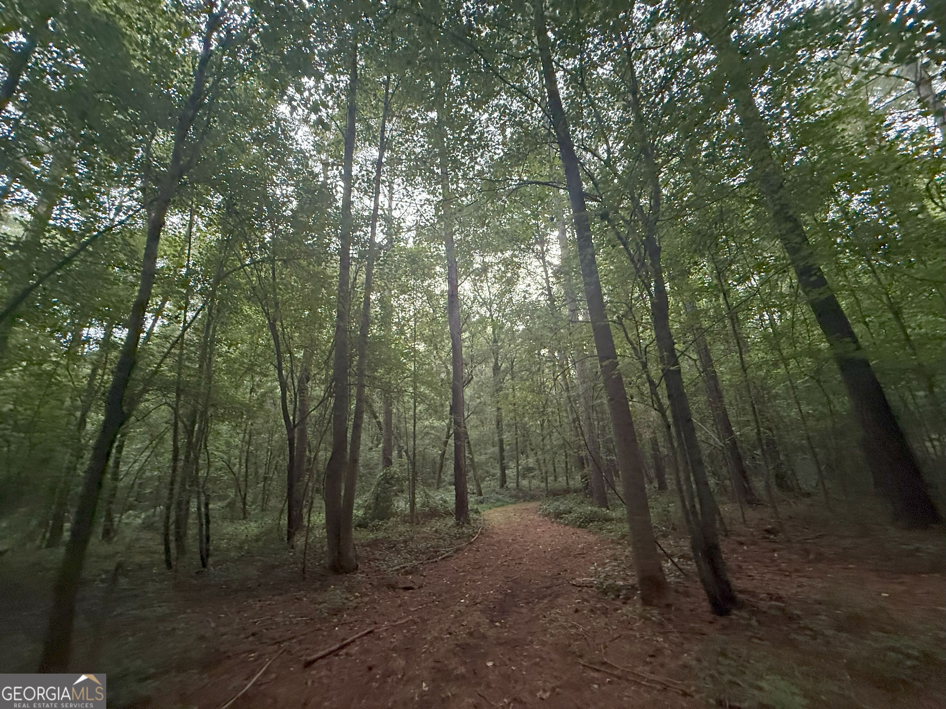 11 Owens Road Maysville, GA 30558 - Photo 69 of 147