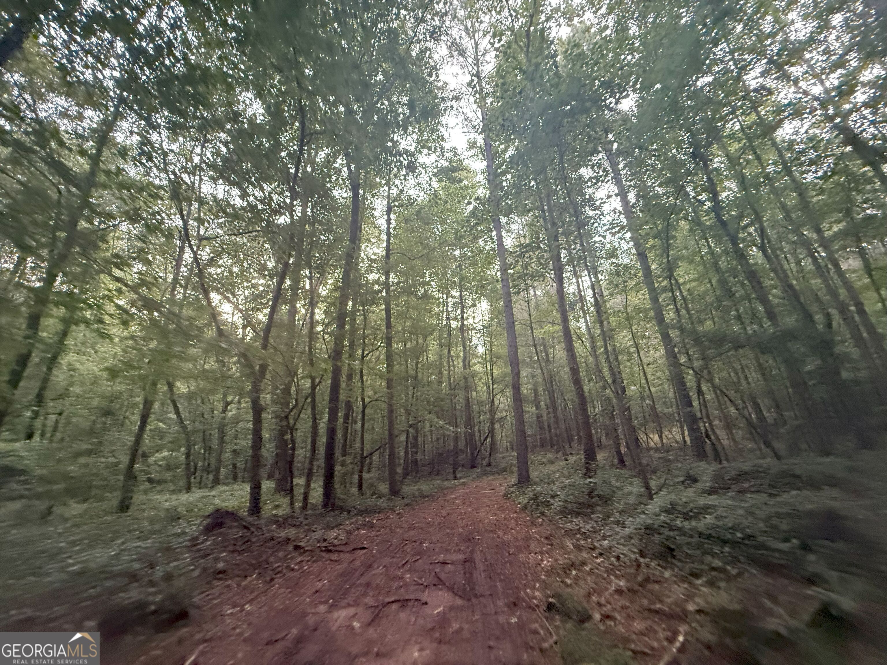 11 Owens Road Maysville, GA 30558 - Photo 7 of 147