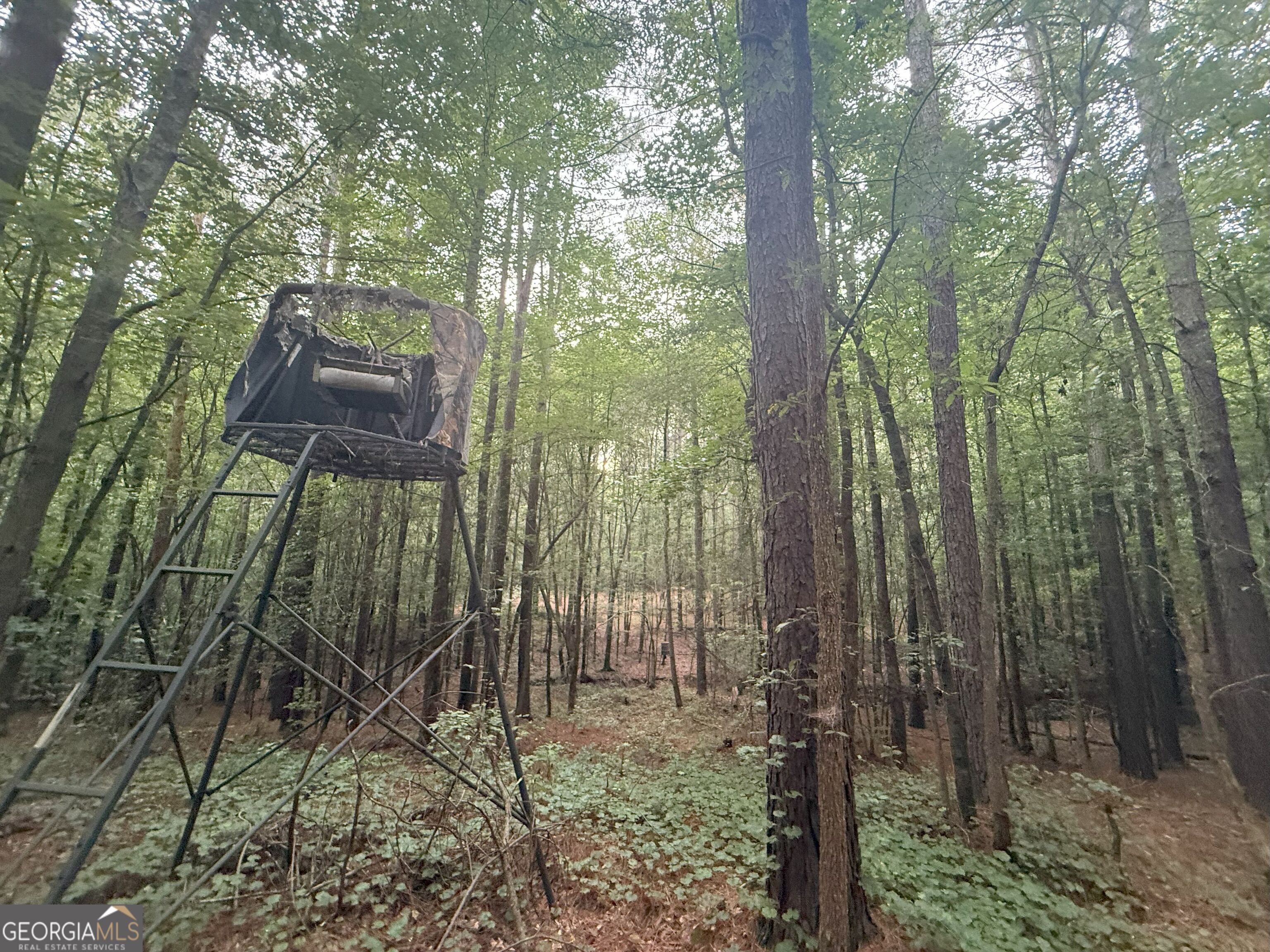 11 Owens Road Maysville, GA 30558 - Photo 71 of 147