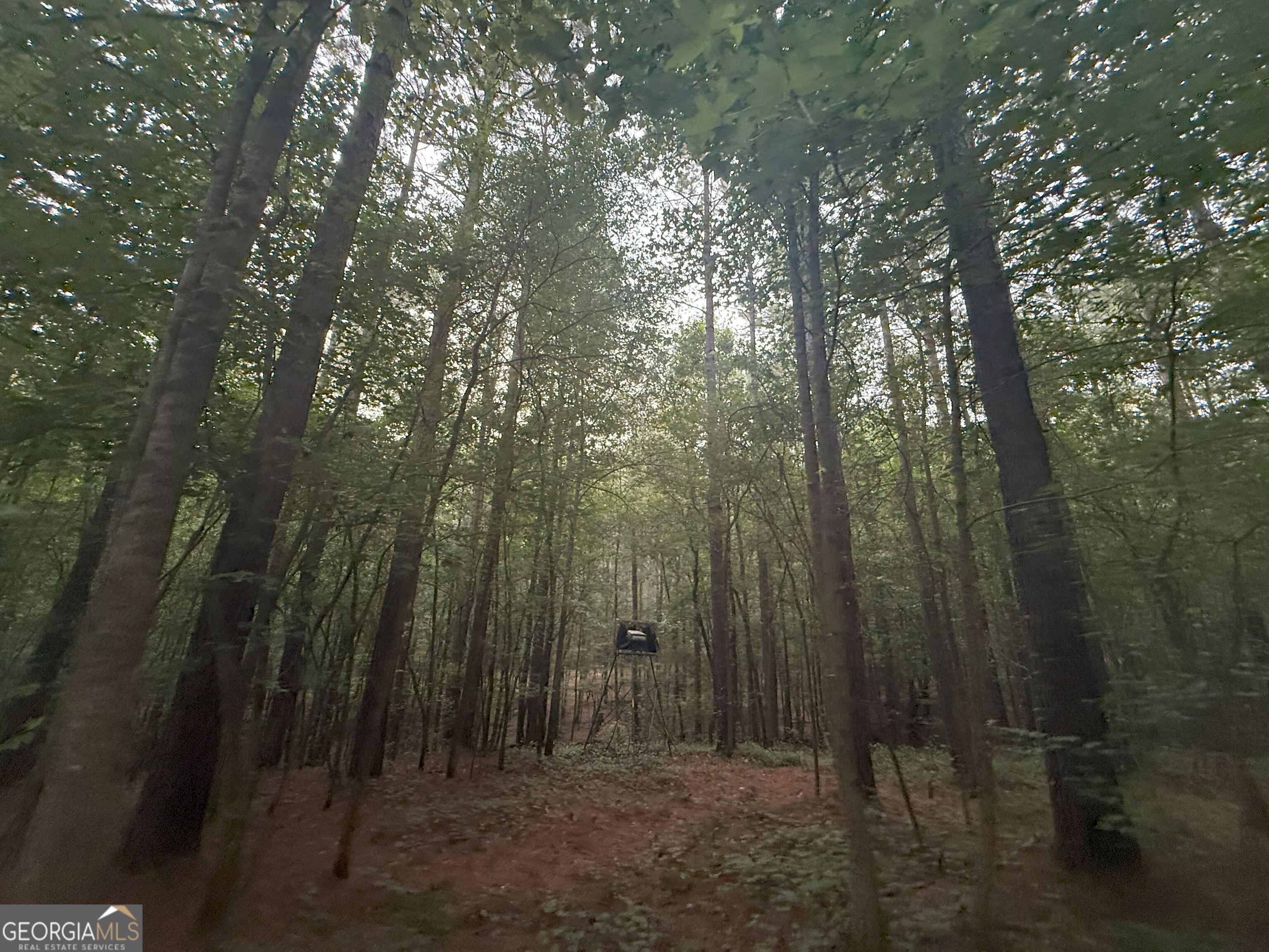 11 Owens Road Maysville, GA 30558 - Photo 72 of 147