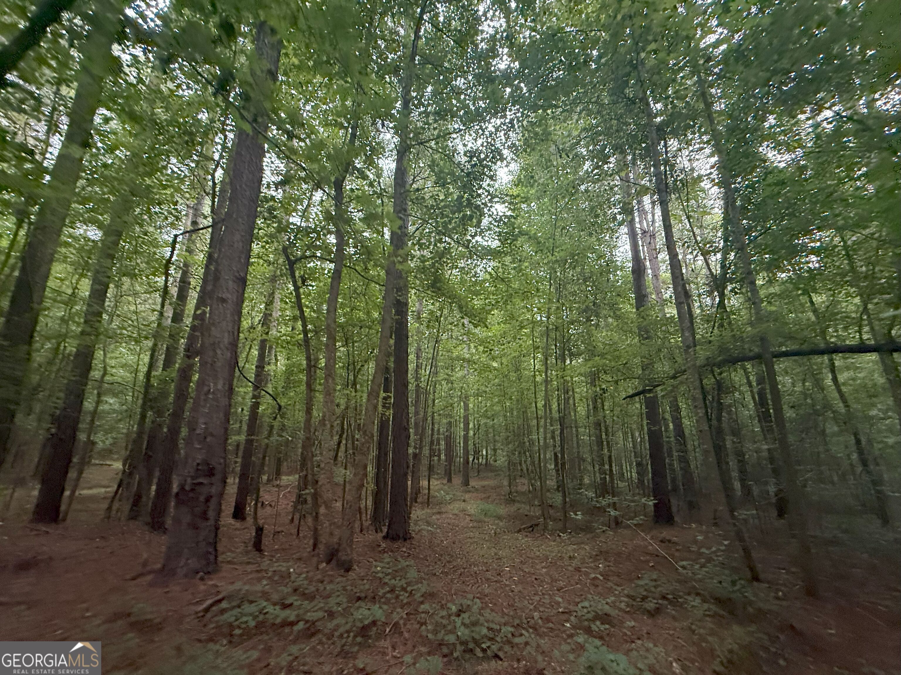 11 Owens Road Maysville, GA 30558 - Photo 73 of 147