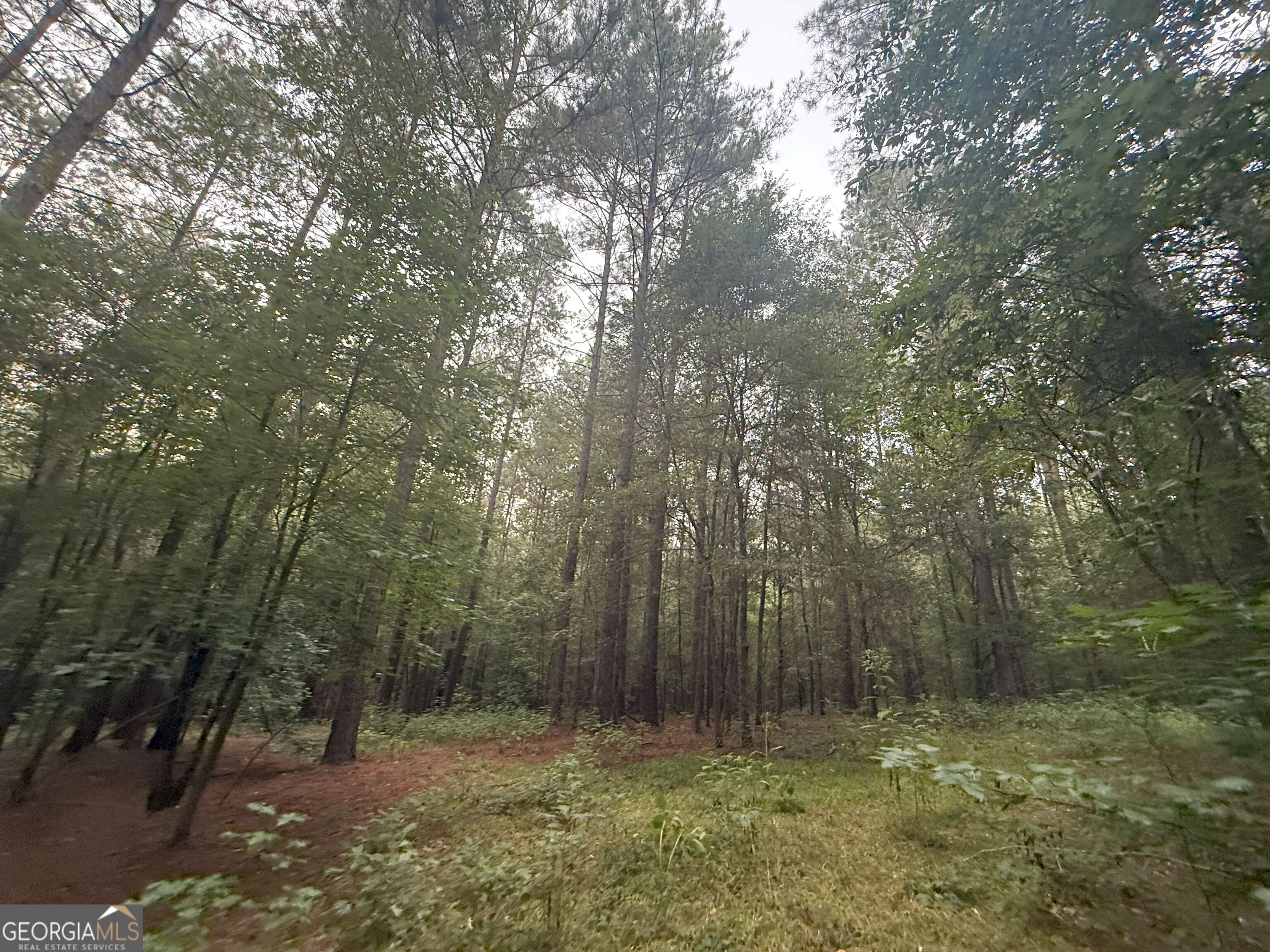 11 Owens Road Maysville, GA 30558 - Photo 74 of 147