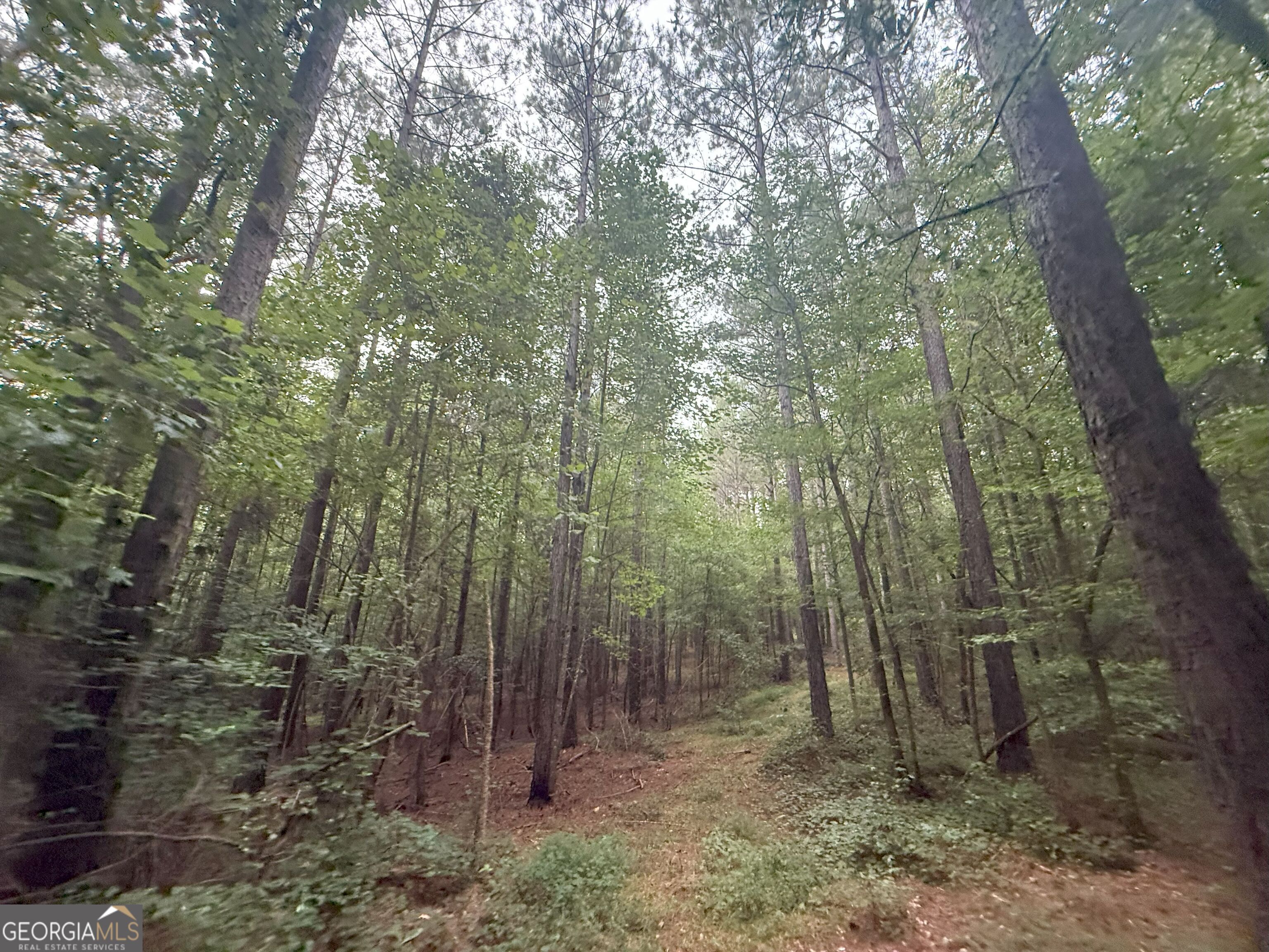 11 Owens Road Maysville, GA 30558 - Photo 76 of 147