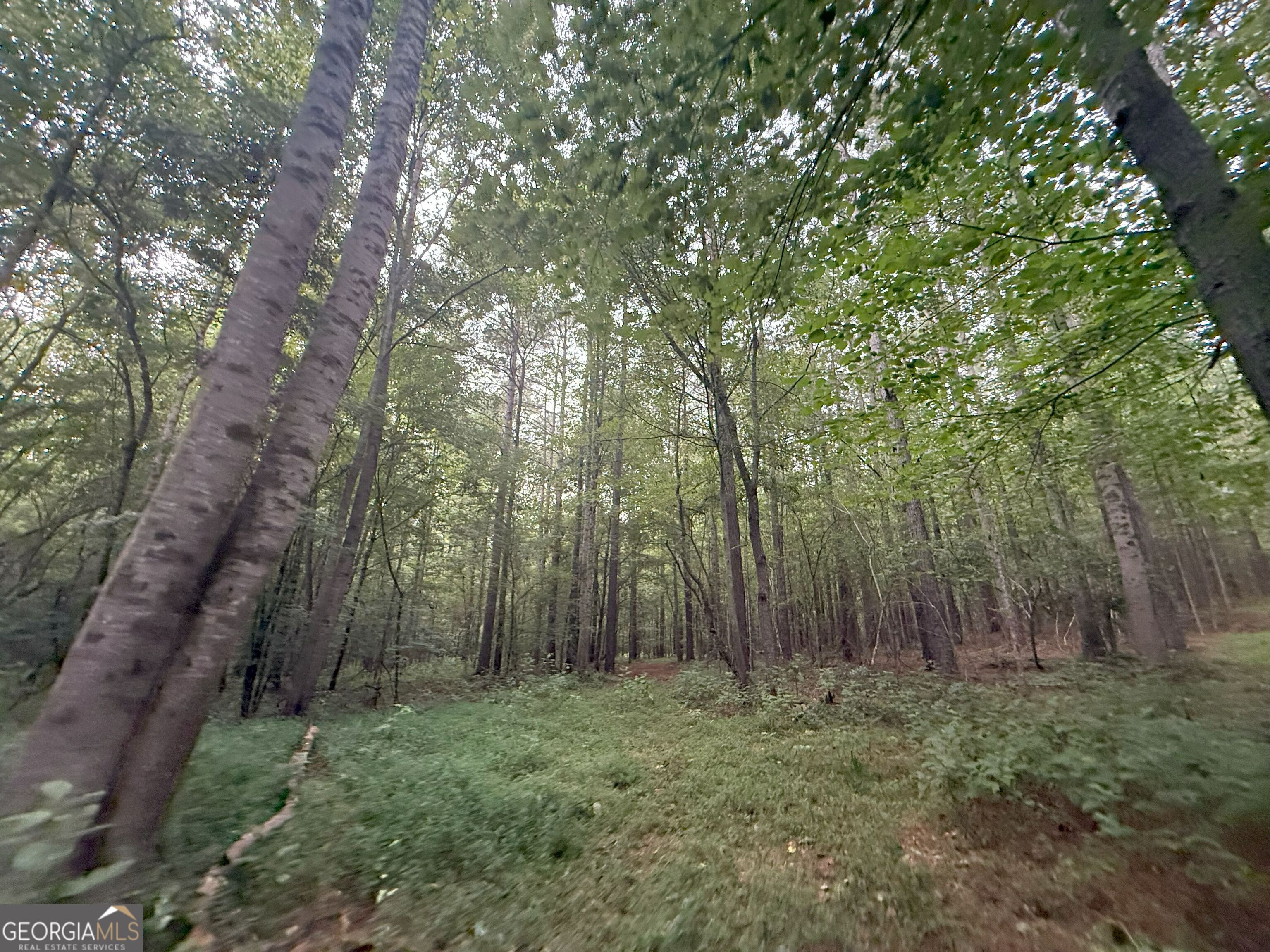 11 Owens Road Maysville, GA 30558 - Photo 77 of 147 a view of outdoor space and green space
