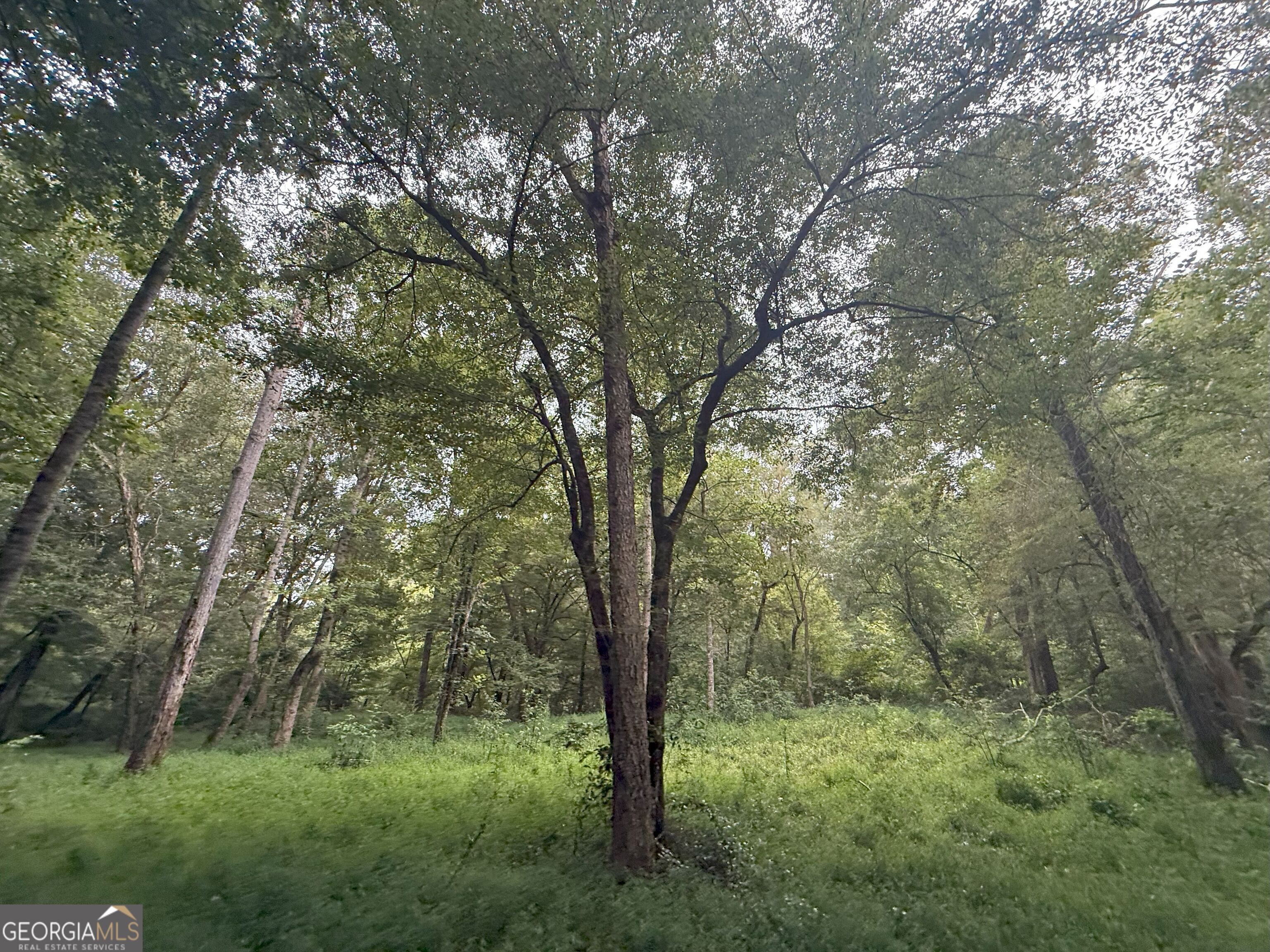 11 Owens Road Maysville, GA 30558 - Photo 79 of 147