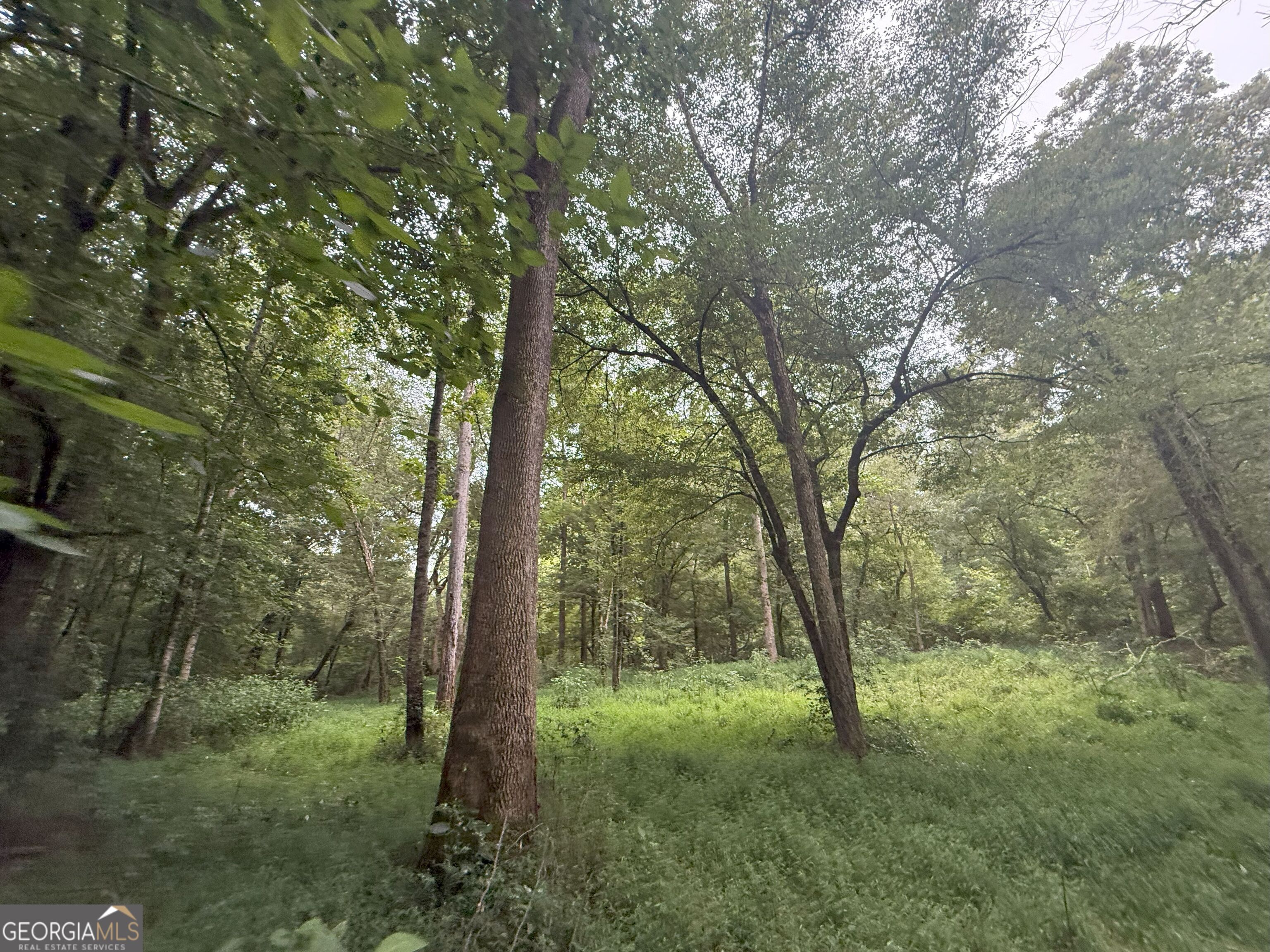 11 Owens Road Maysville, GA 30558 - Photo 80 of 147