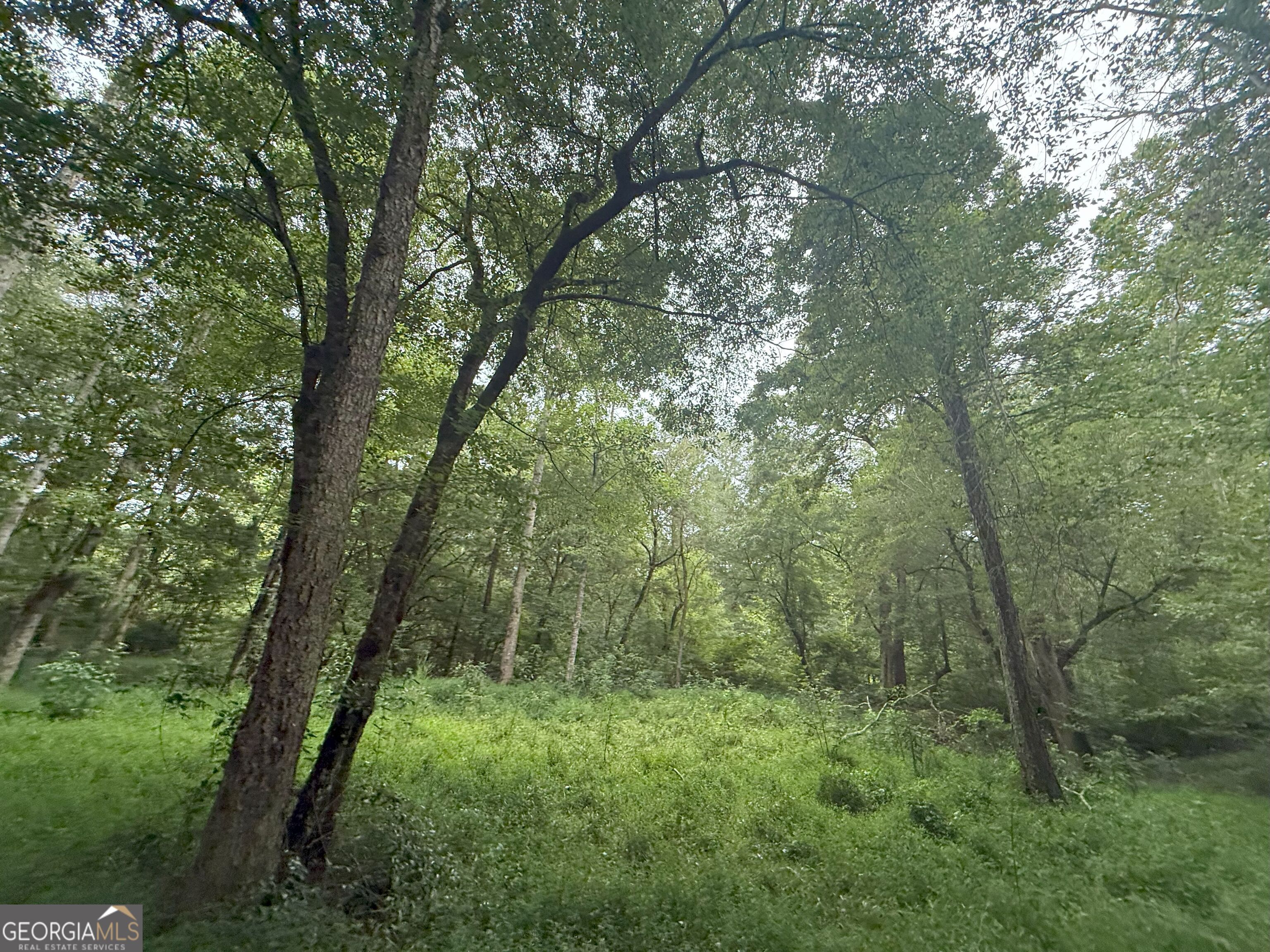 11 Owens Road Maysville, GA 30558 - Photo 82 of 147