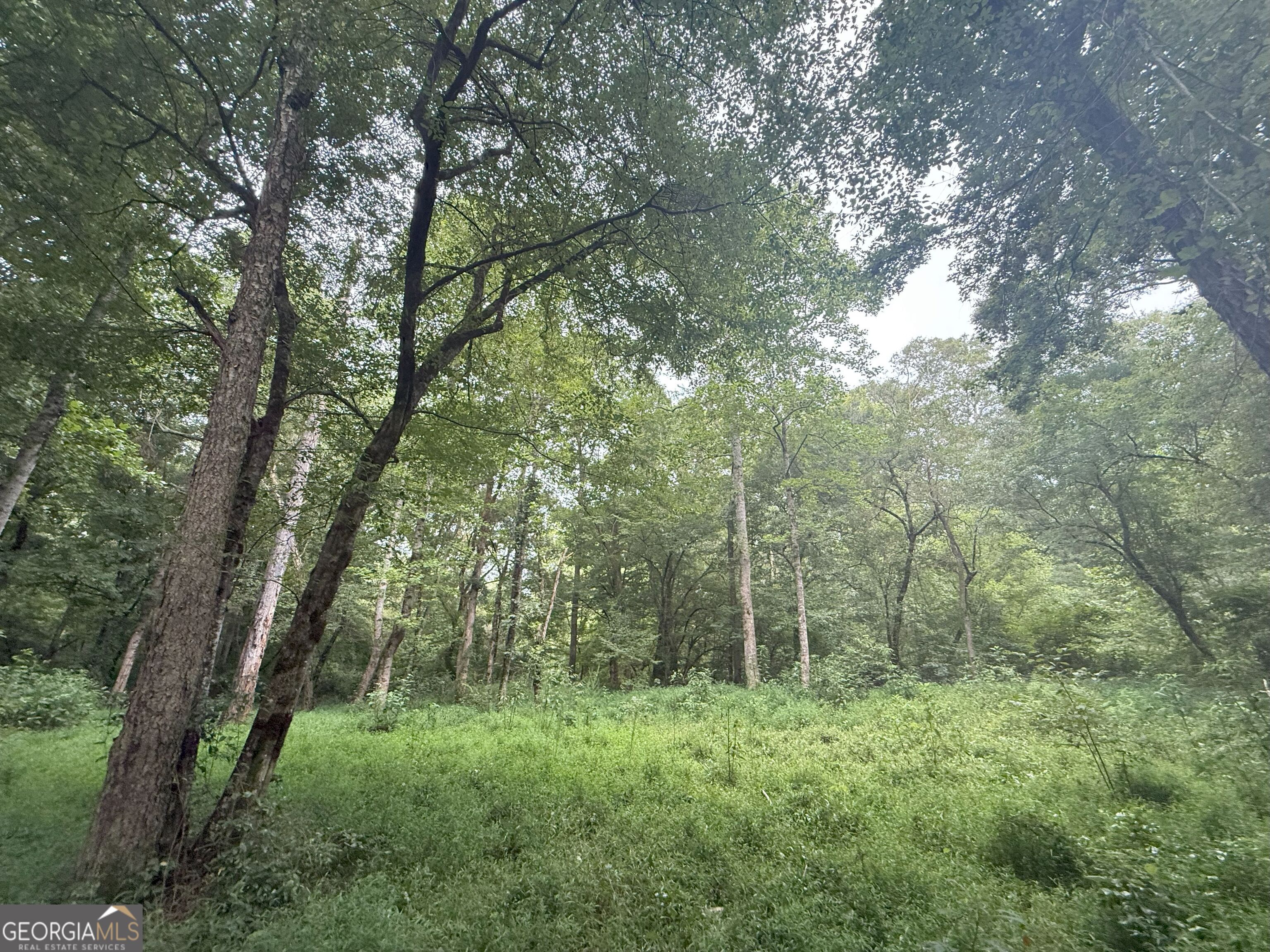 11 Owens Road Maysville, GA 30558 - Photo 84 of 147 a view of a lush green forest