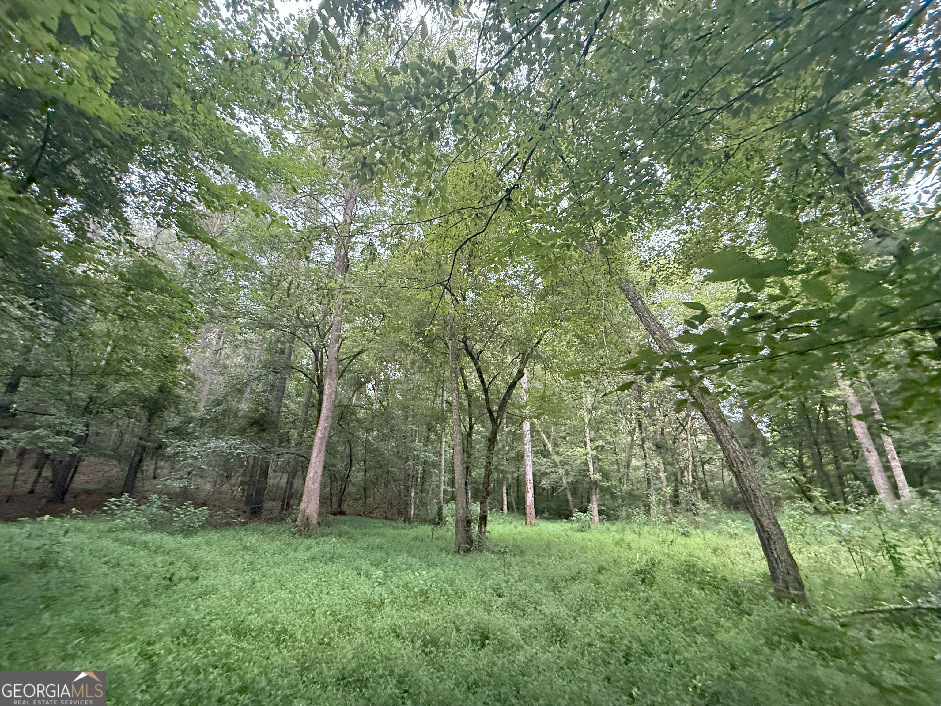 11 Owens Road Maysville, GA 30558 - Photo 85 of 147