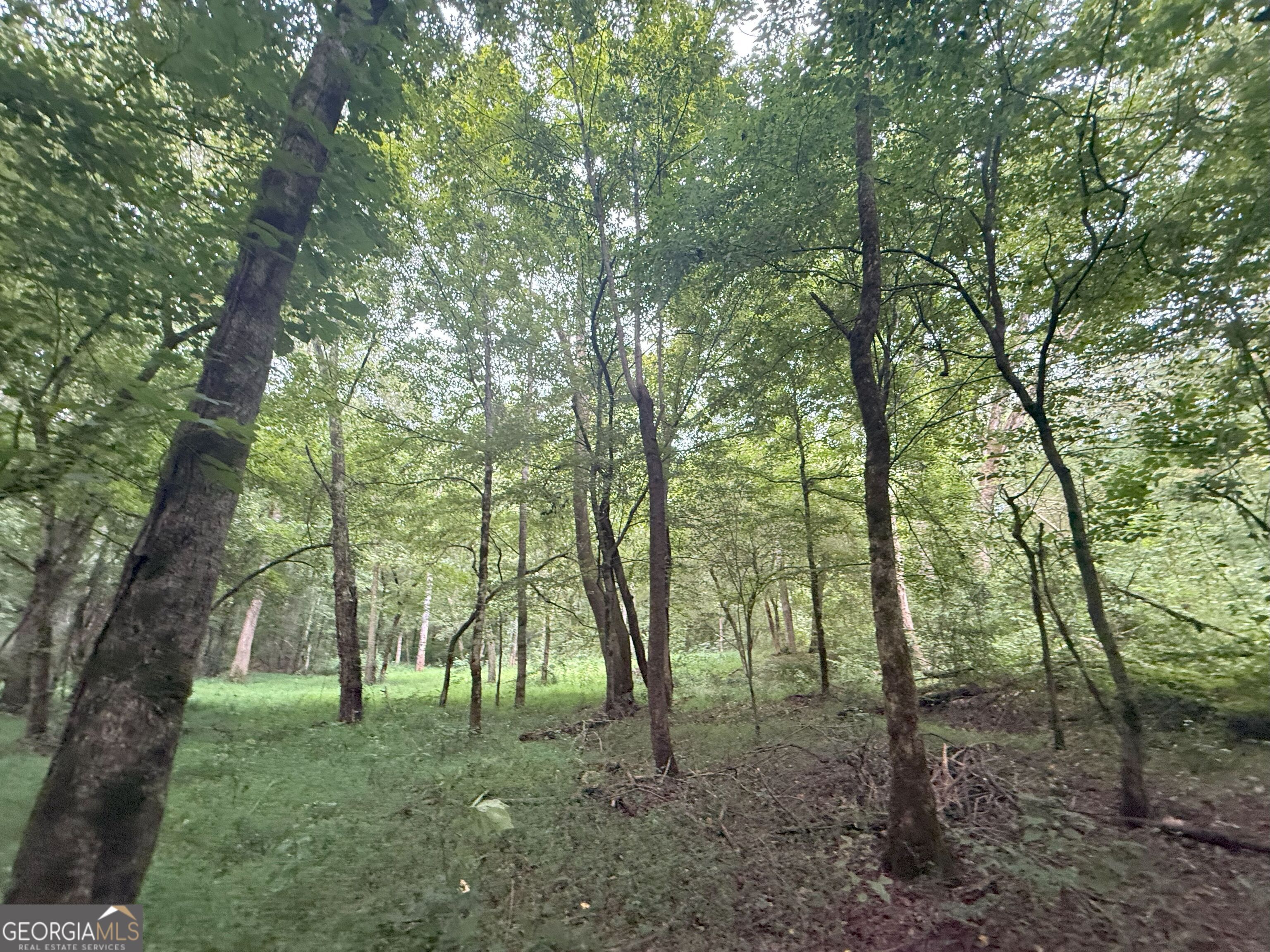 11 Owens Road Maysville, GA 30558 - Photo 86 of 147