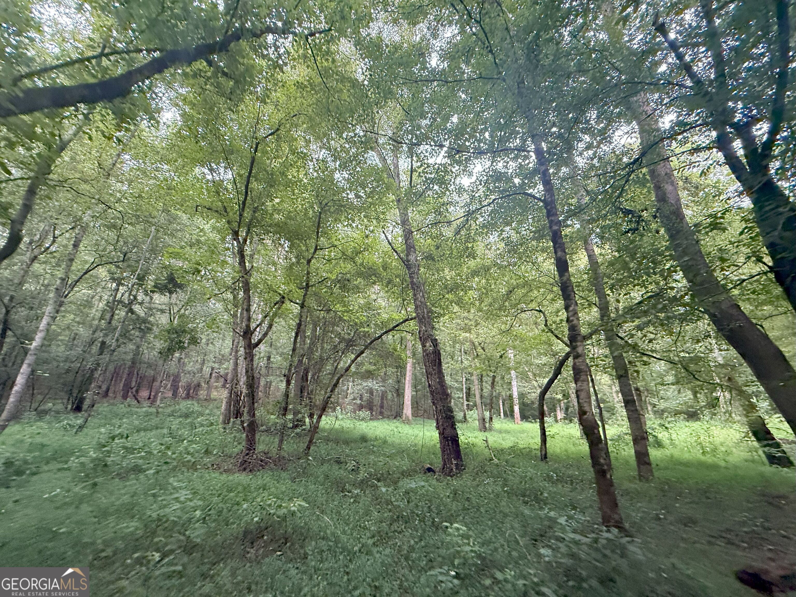 11 Owens Road Maysville, GA 30558 - Photo 87 of 147